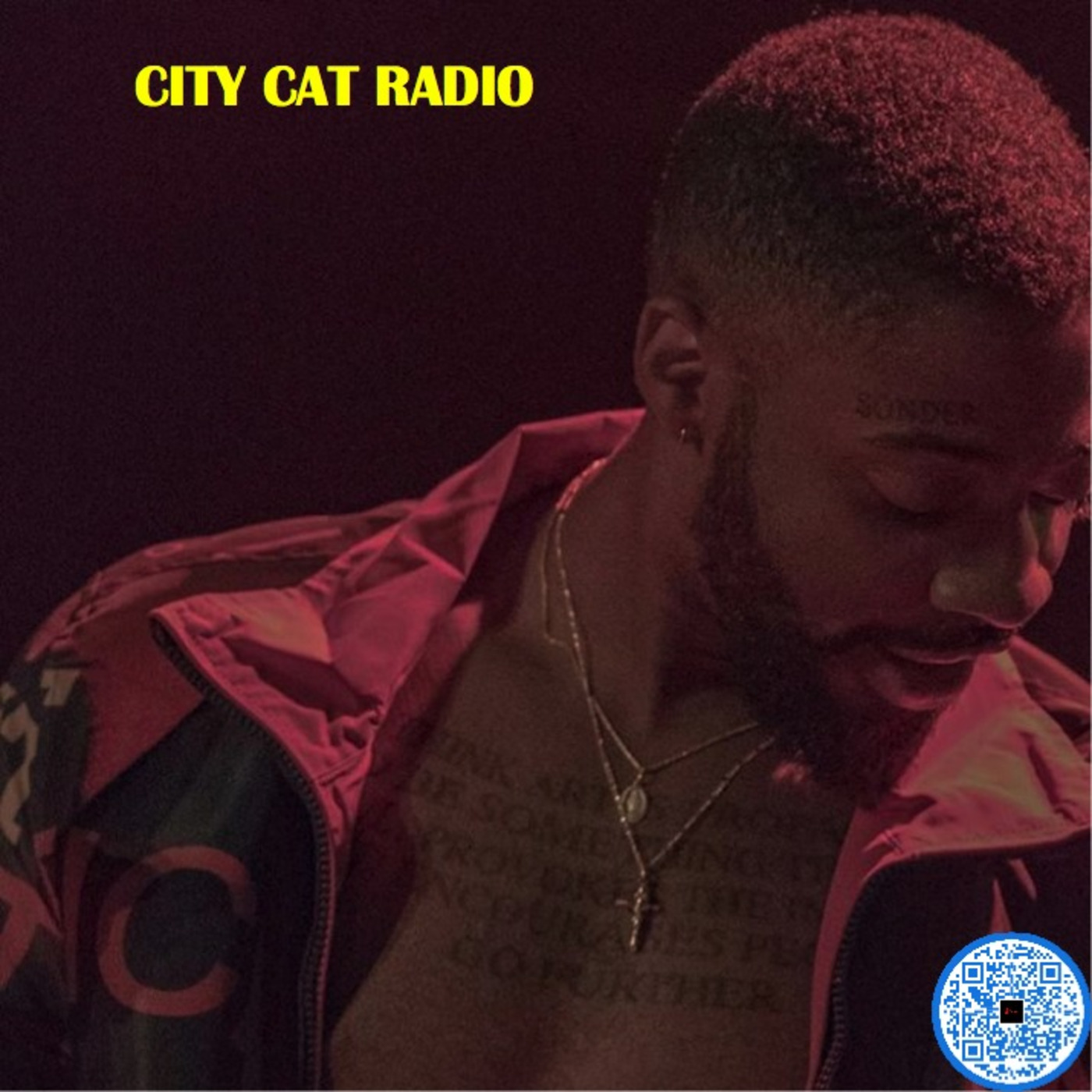 CITY CAT RADIO