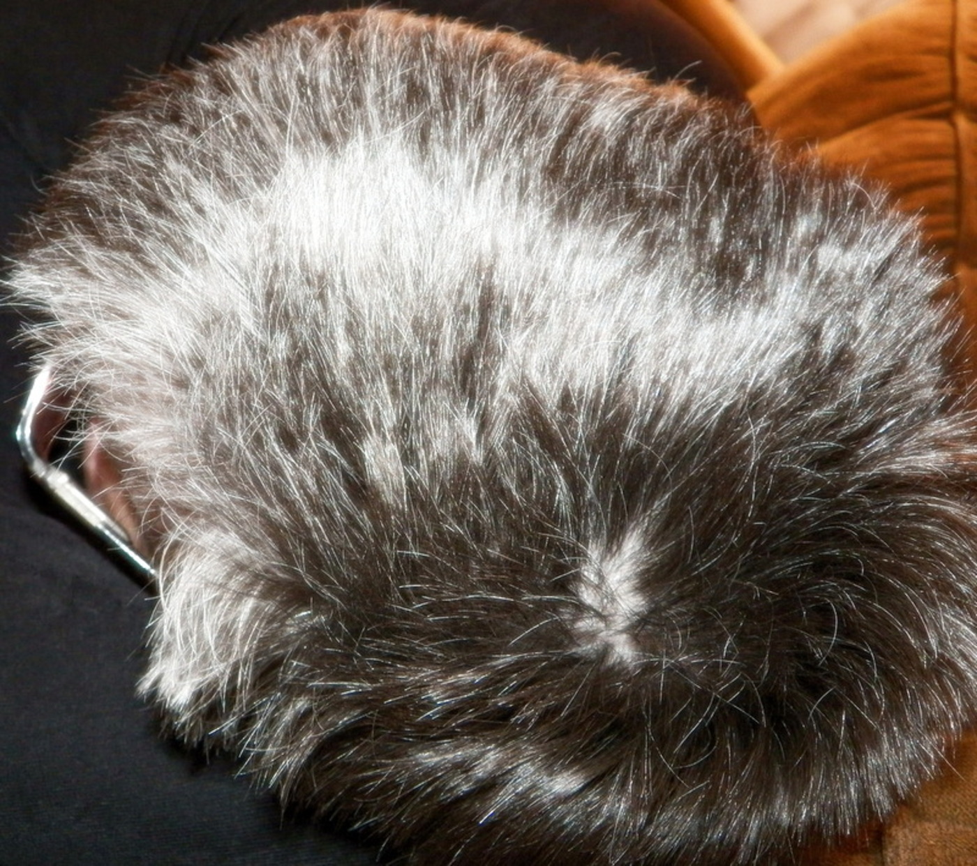 Going Gray with Christy Potter - with Guest Dan Manning, author of 