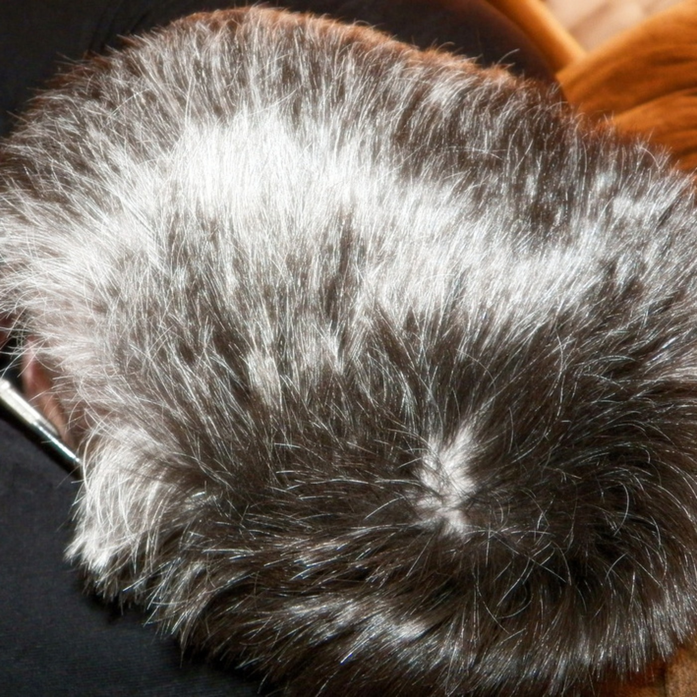 Going Gray with Christy Potter - with guest Jayne Mayled