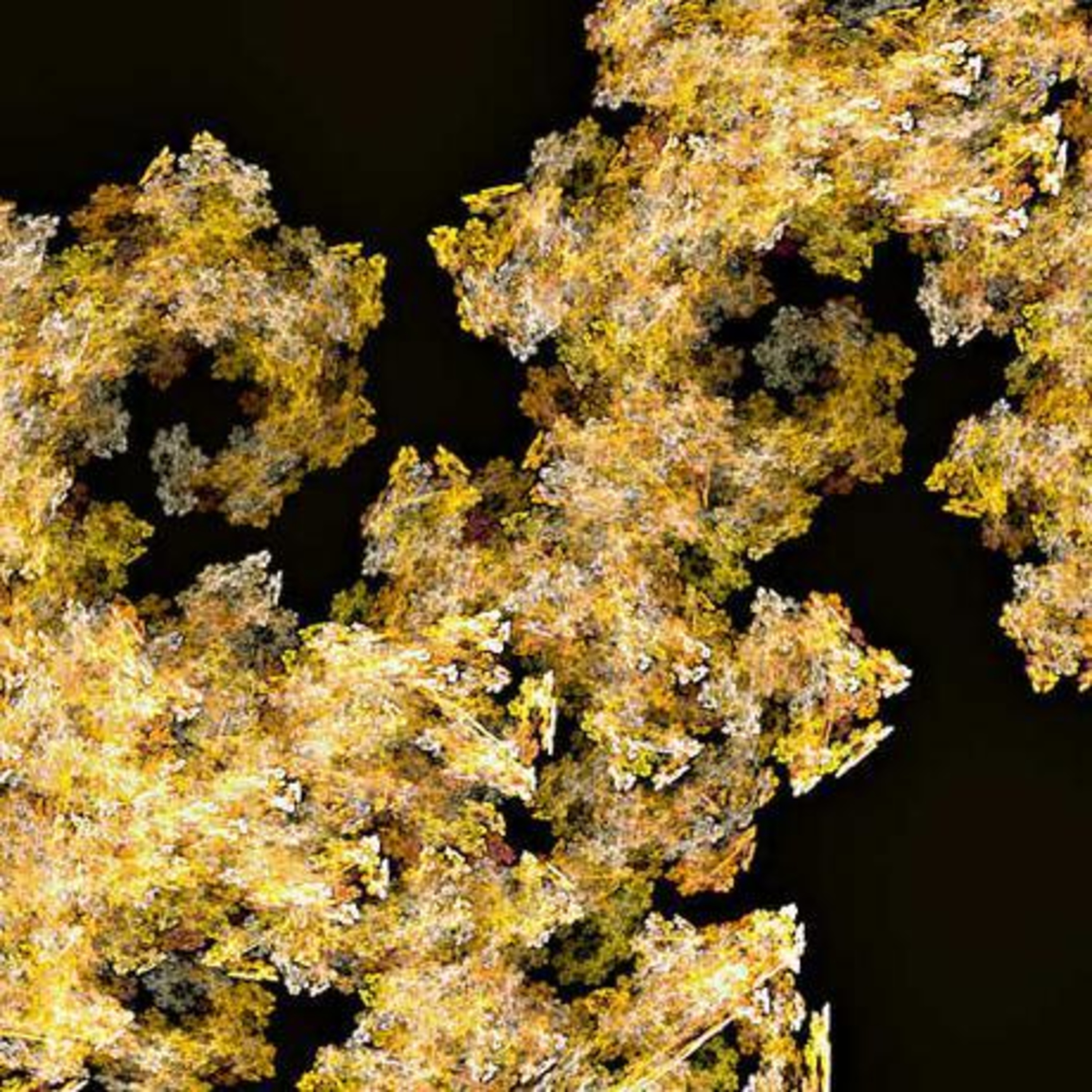 Fractal episode artwork