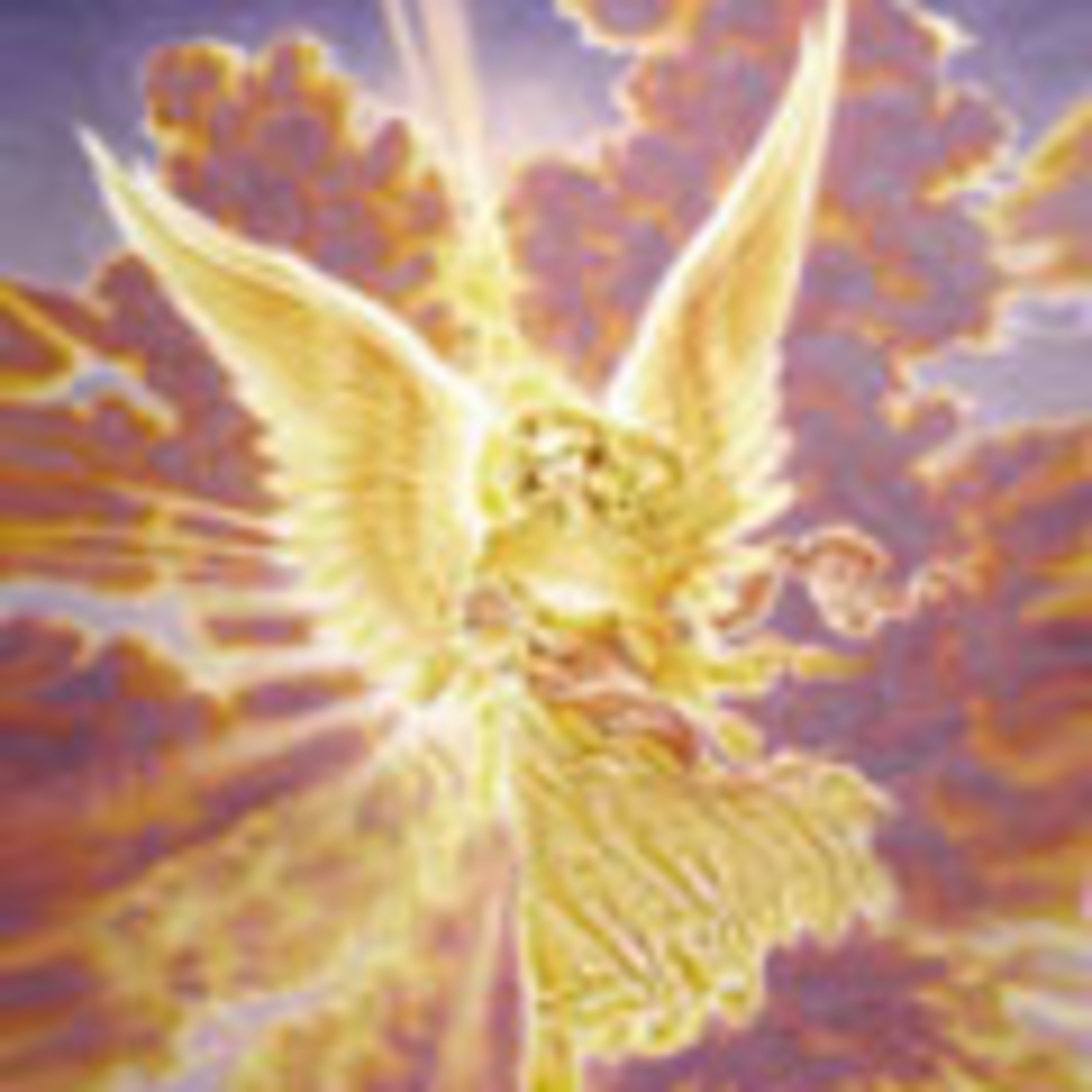 Undivided episode artwork