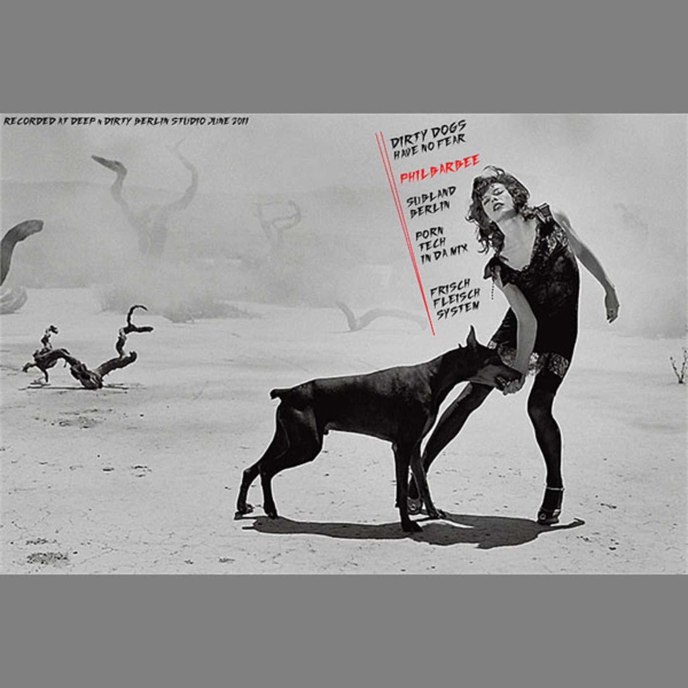 DIRTY DOGS HAVE NO FEAR episode artwork
