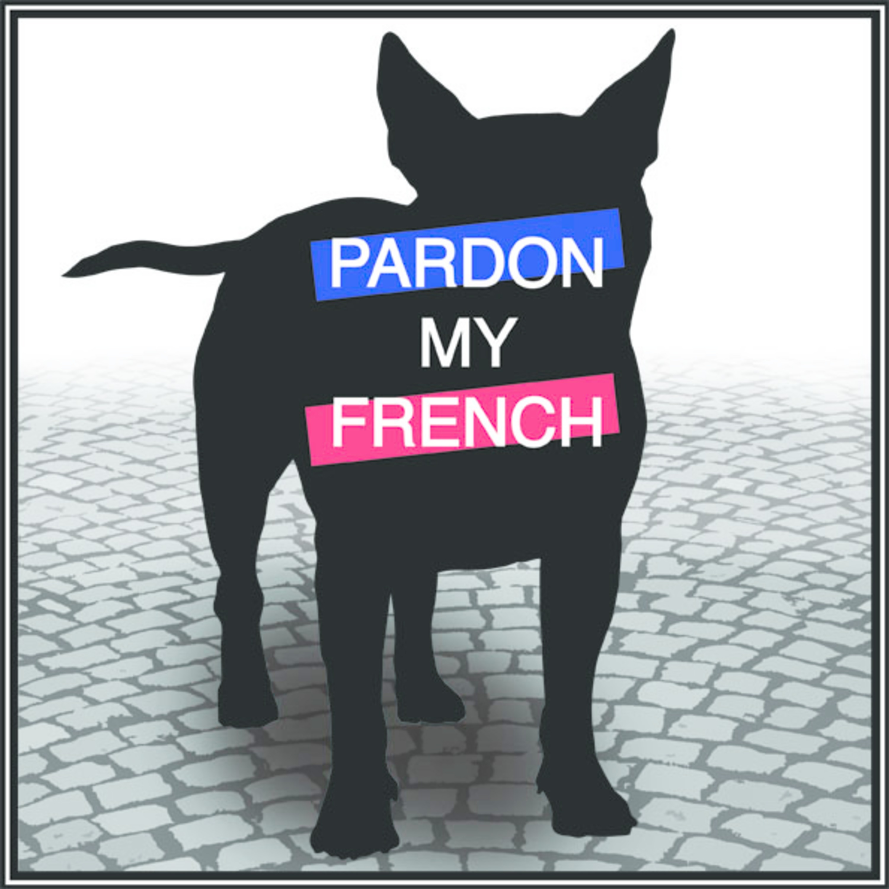 Пардон. Pardon. Пардон картинки. Pardon French. Курицы pardon my French.