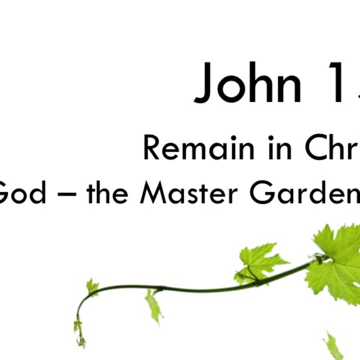 John 15