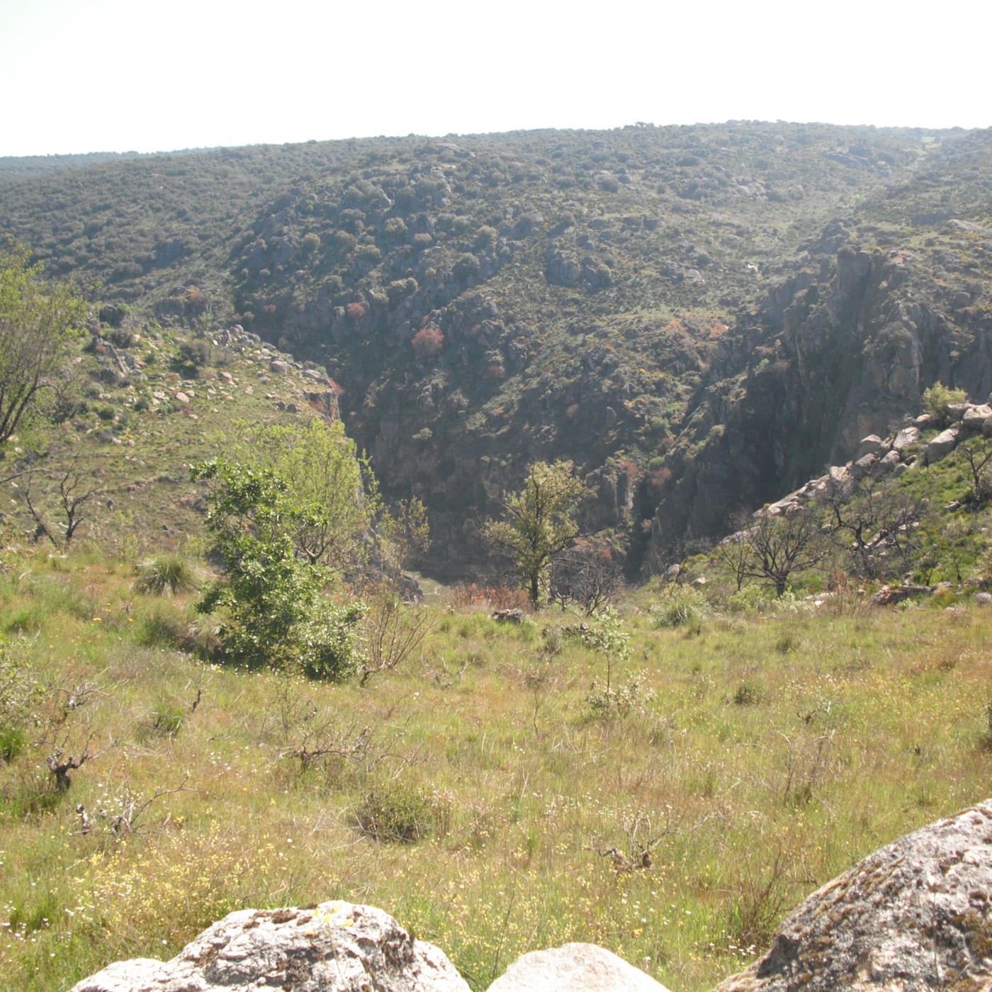 A Beleza de Trás-os-montes