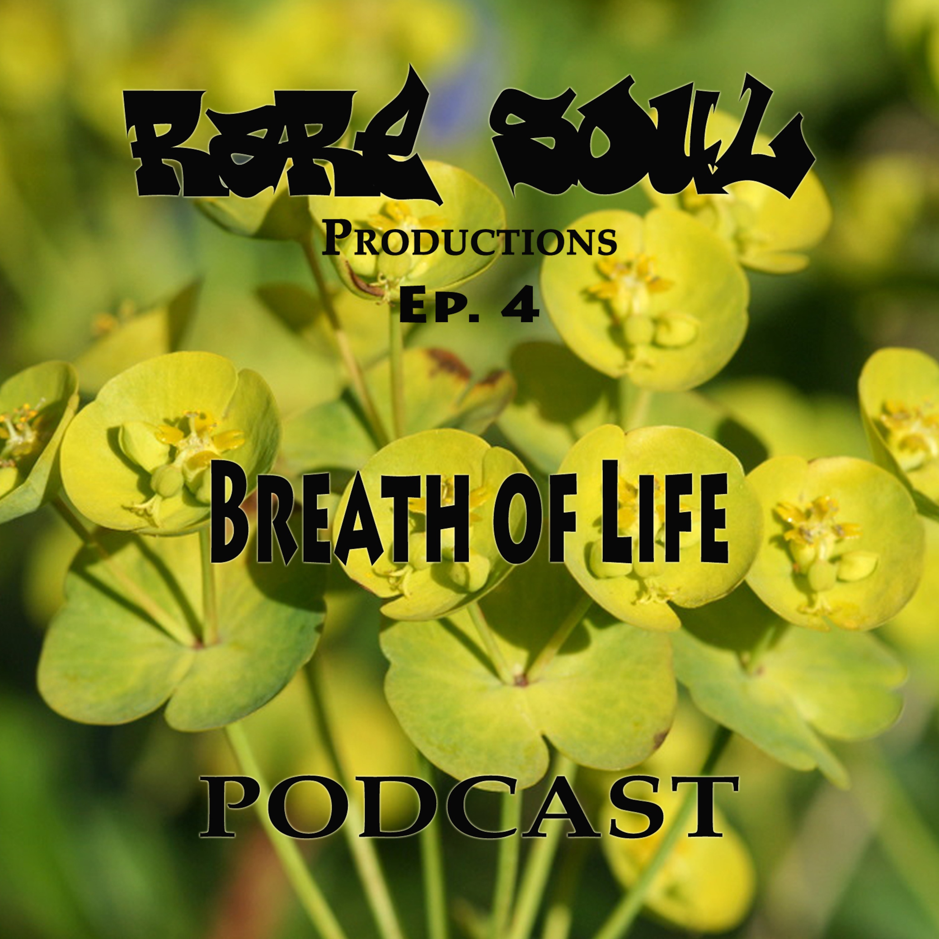 RARE SOUL Productions Podcast