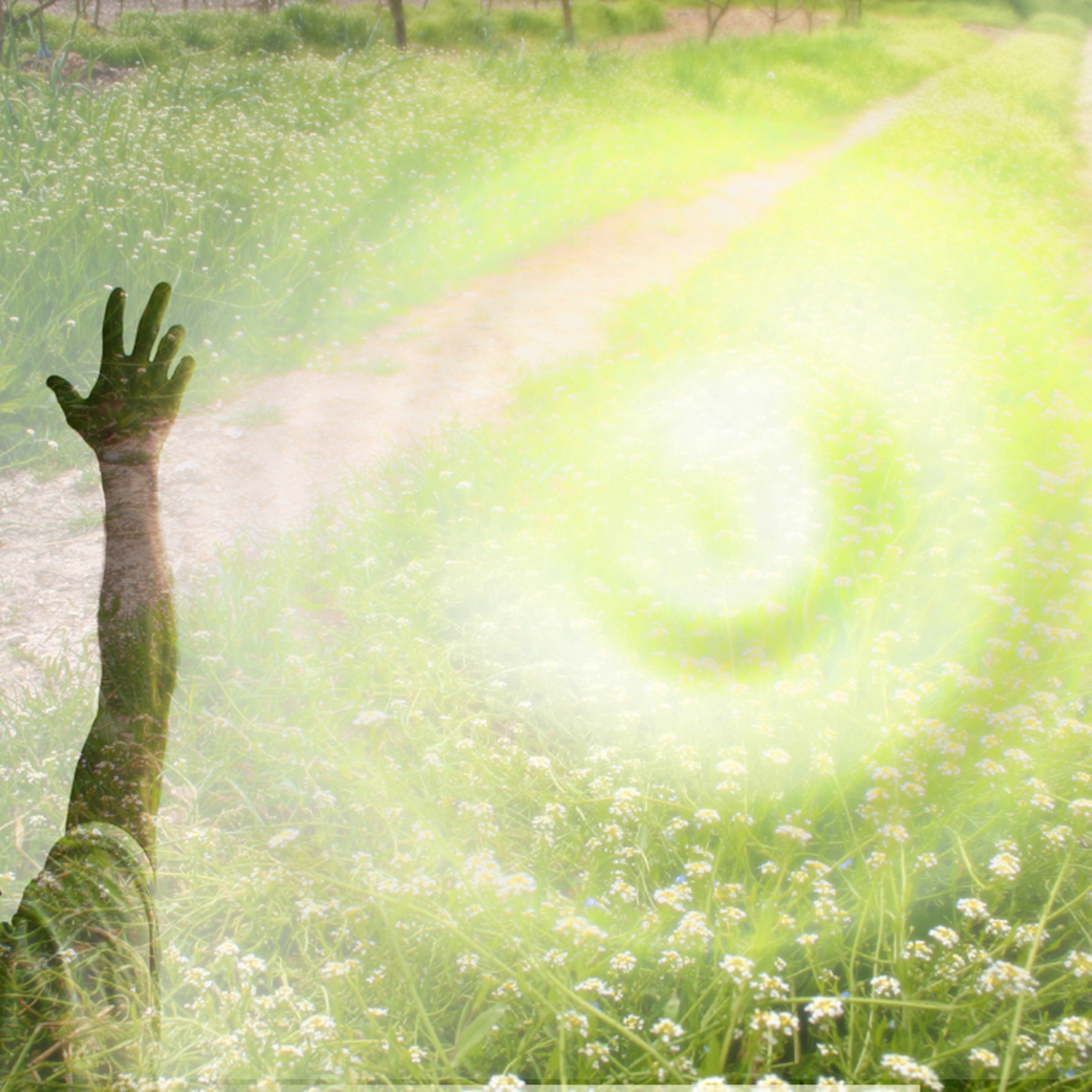 Looking for Hope