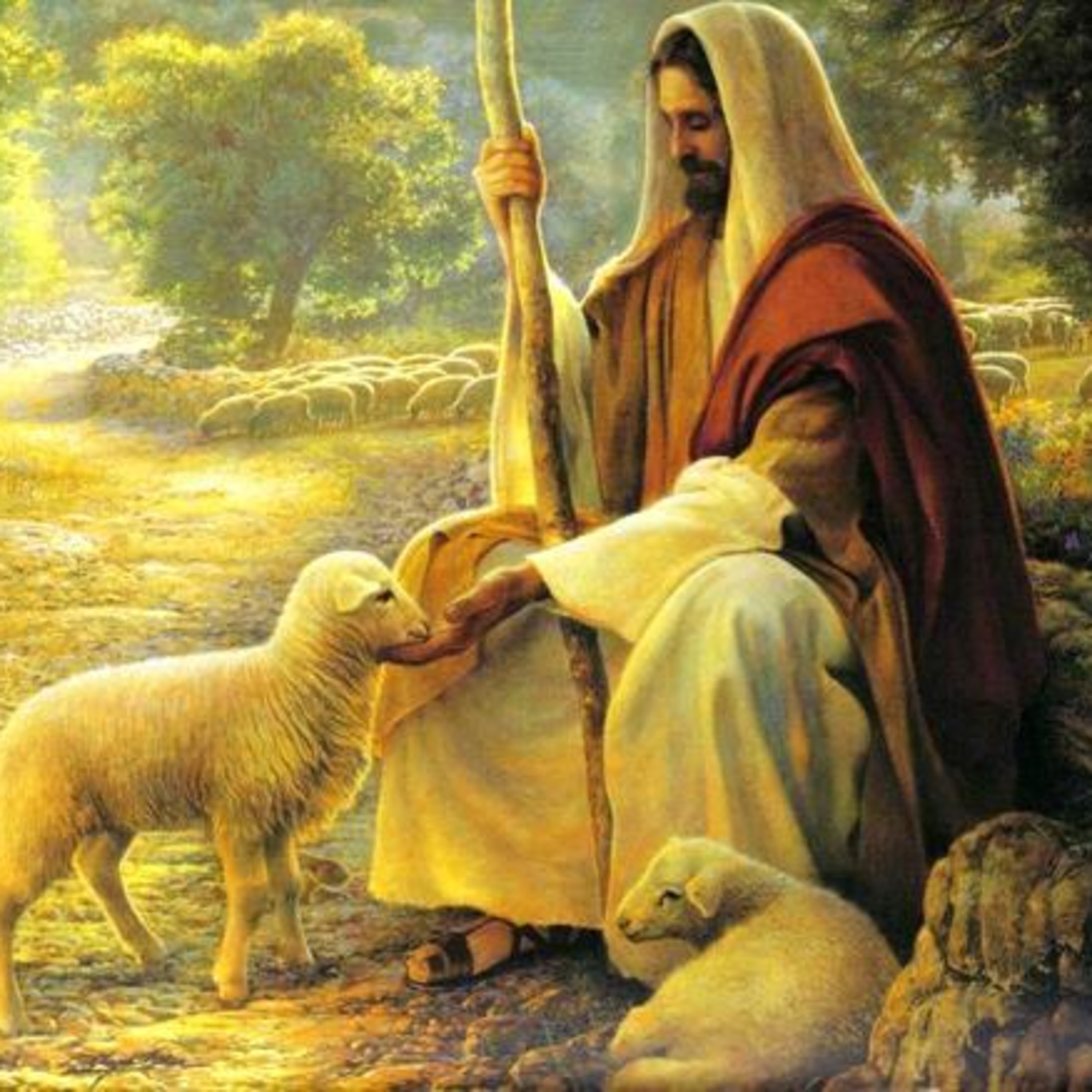 Jesus Lamb of God episode artwork