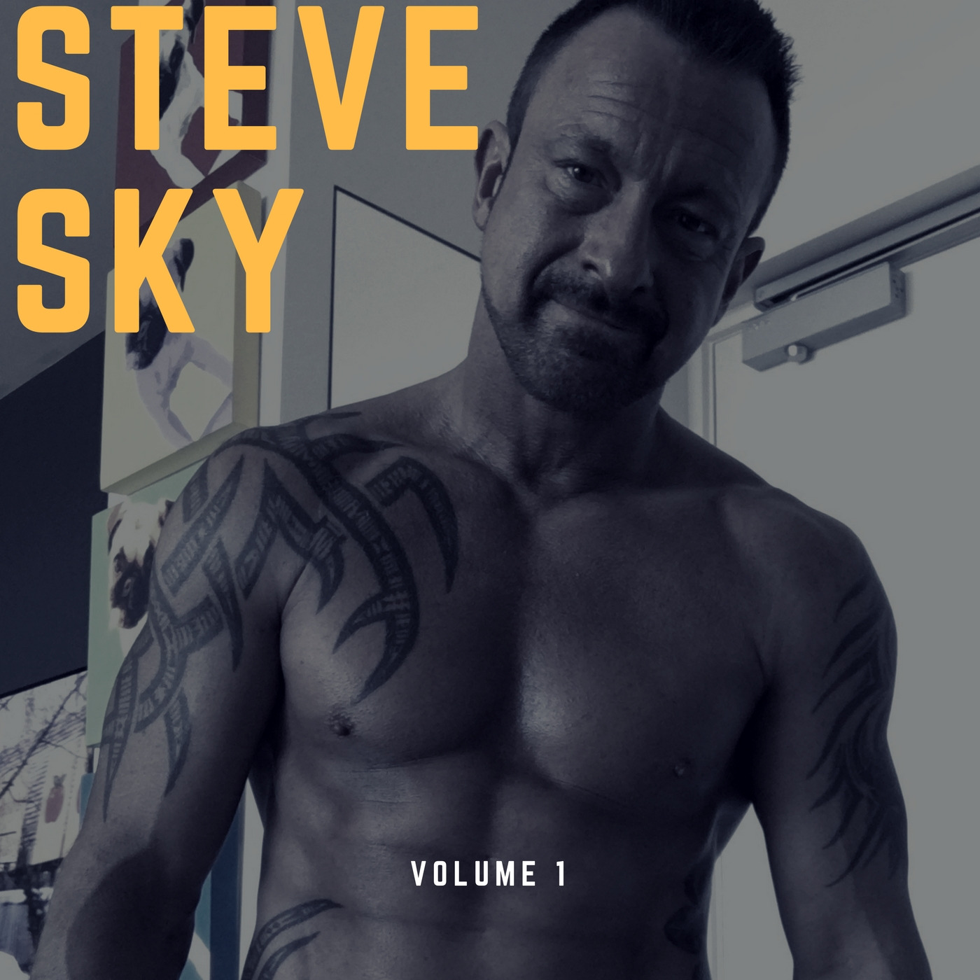 Steve Sky - Volume 1 episode artwork