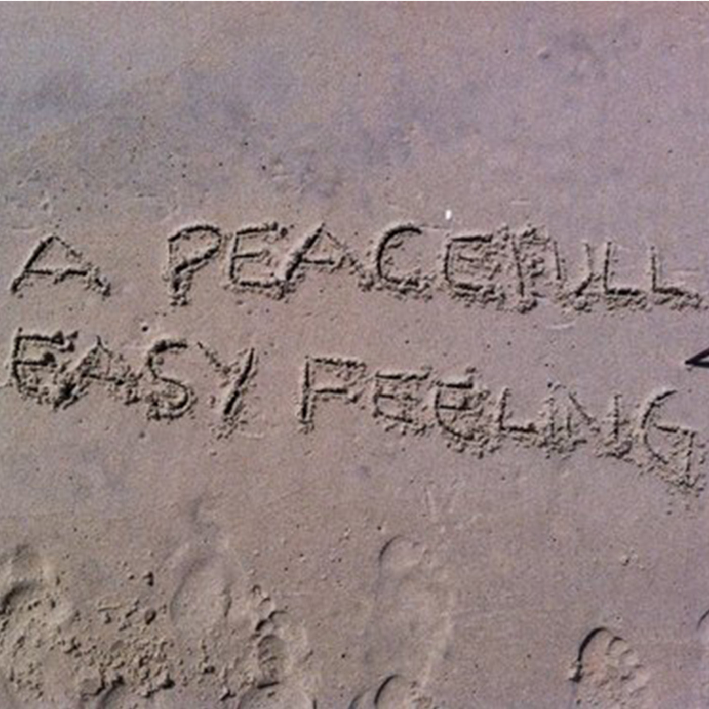 DJ BILL COLEMAN & PEACE BISQUIT Podcast