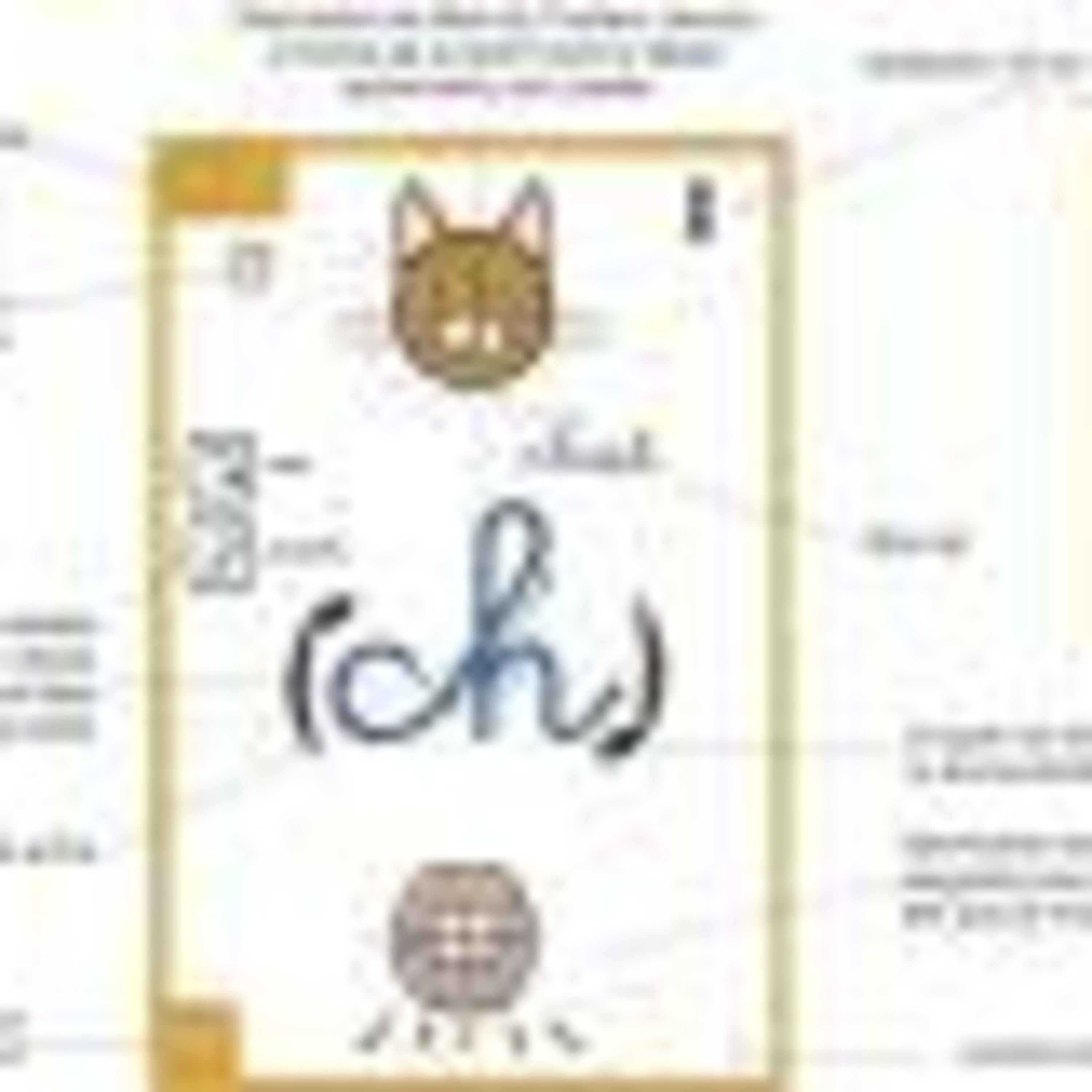 Audio Carnet FLE 2005-06