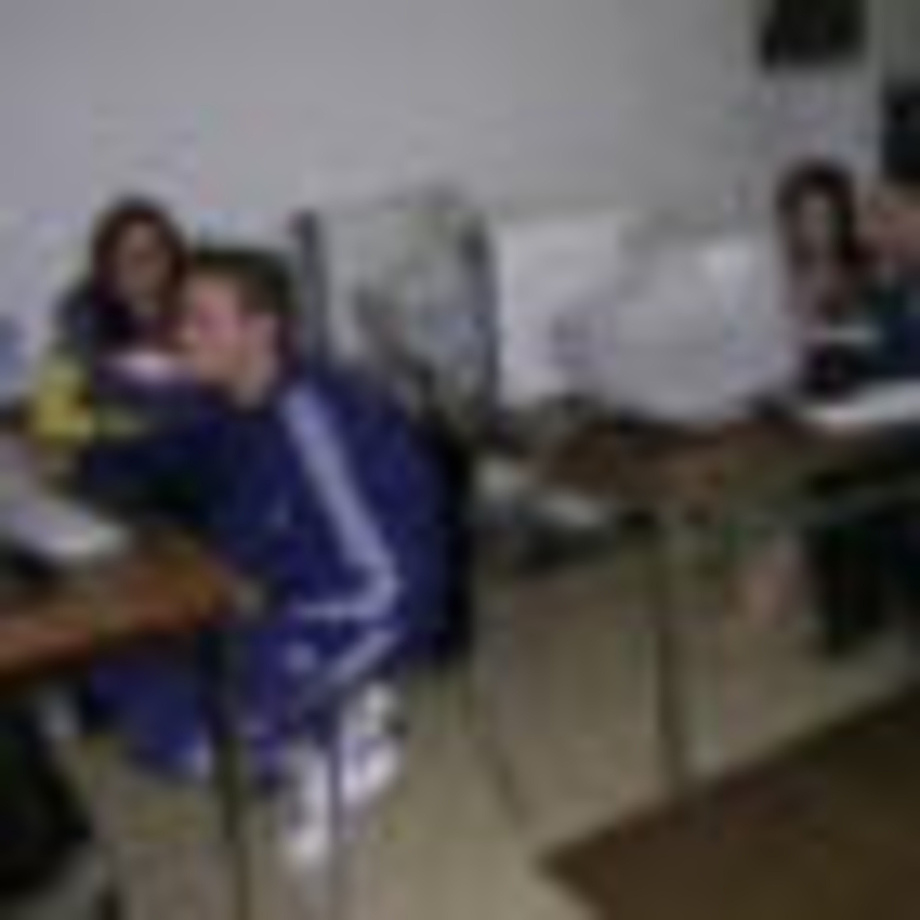 Audio Carnet FLE 2005-06