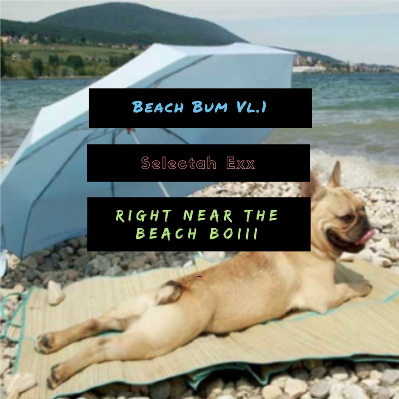 Beach Bum Vl.1 Exx