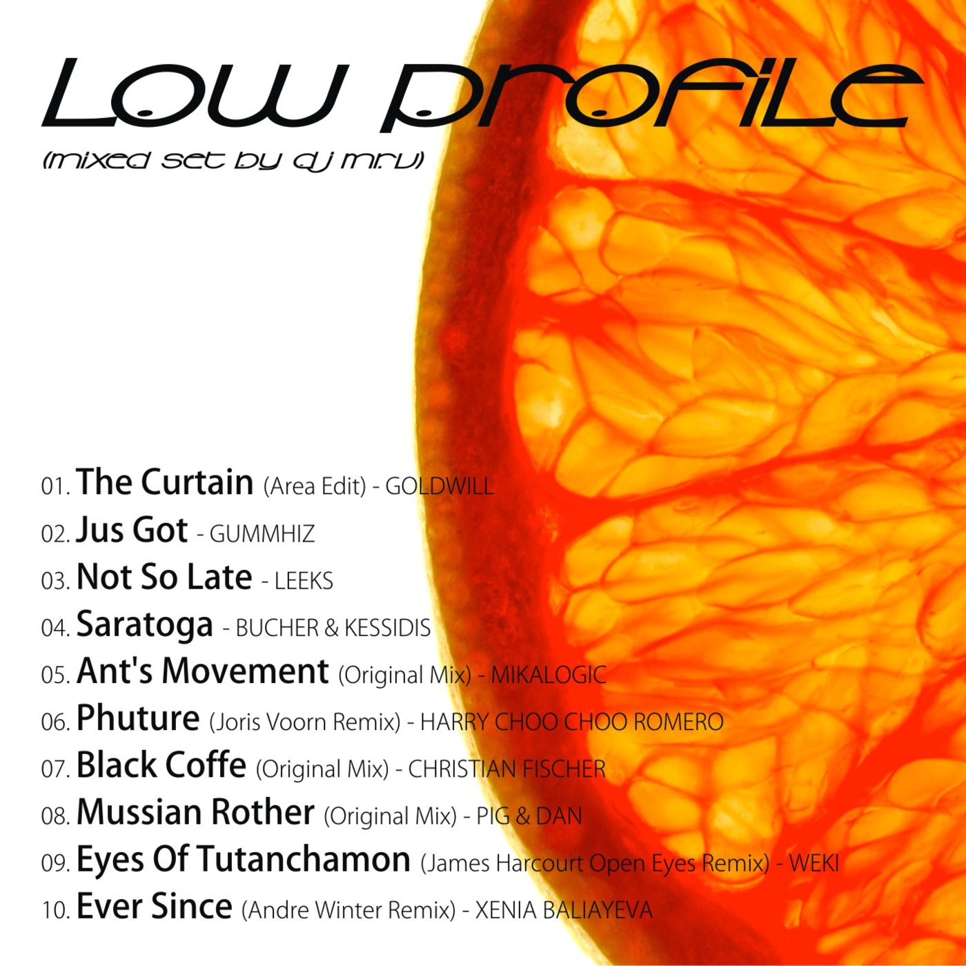 Low Profile episode artwork