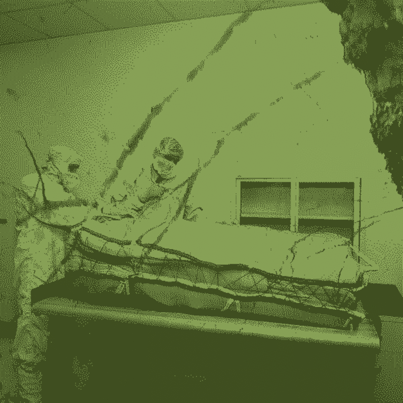 TM Dawn: [Under the Teaching Tree 01 of 03]