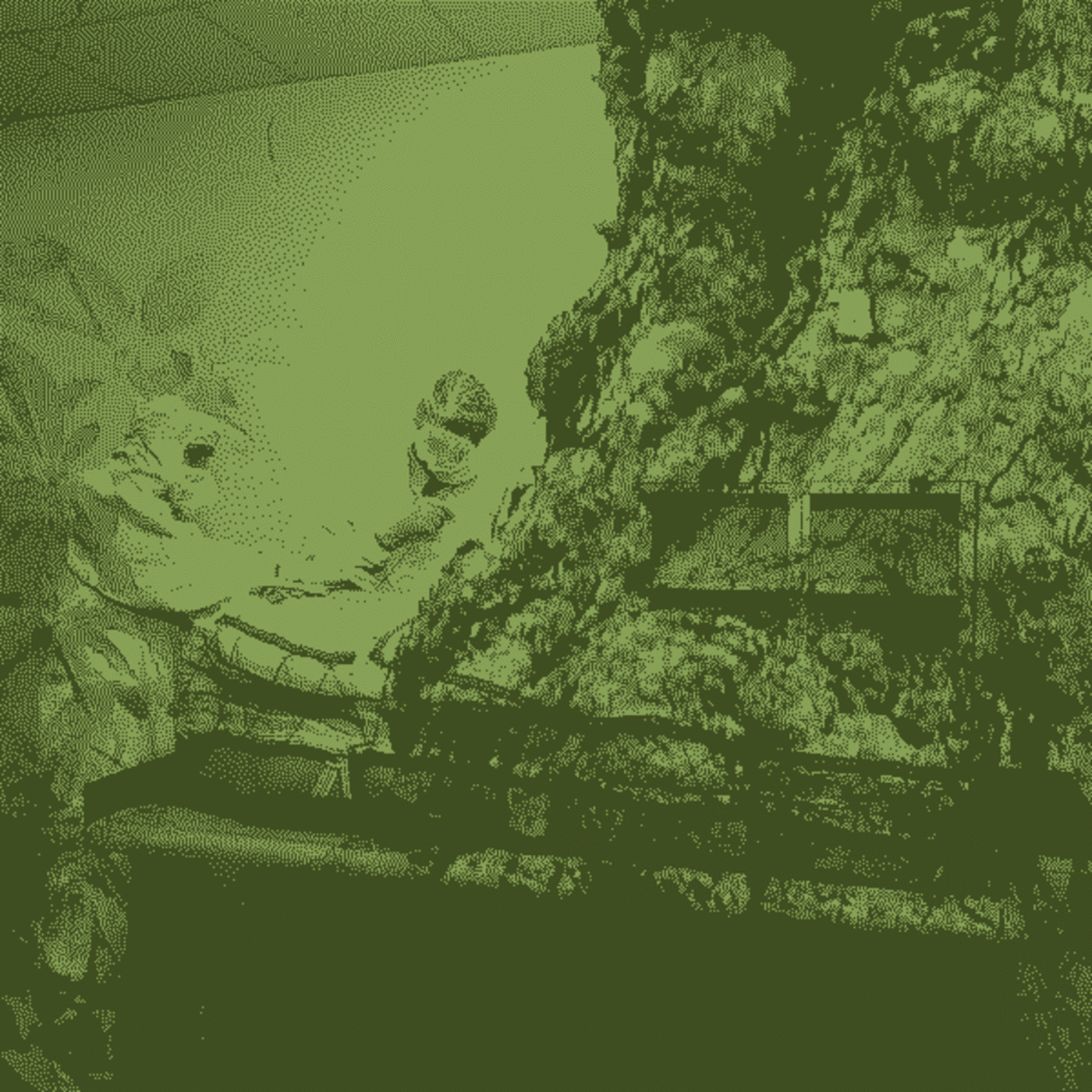 TM Dawn: [Under the Teaching Tree 02 of 03]