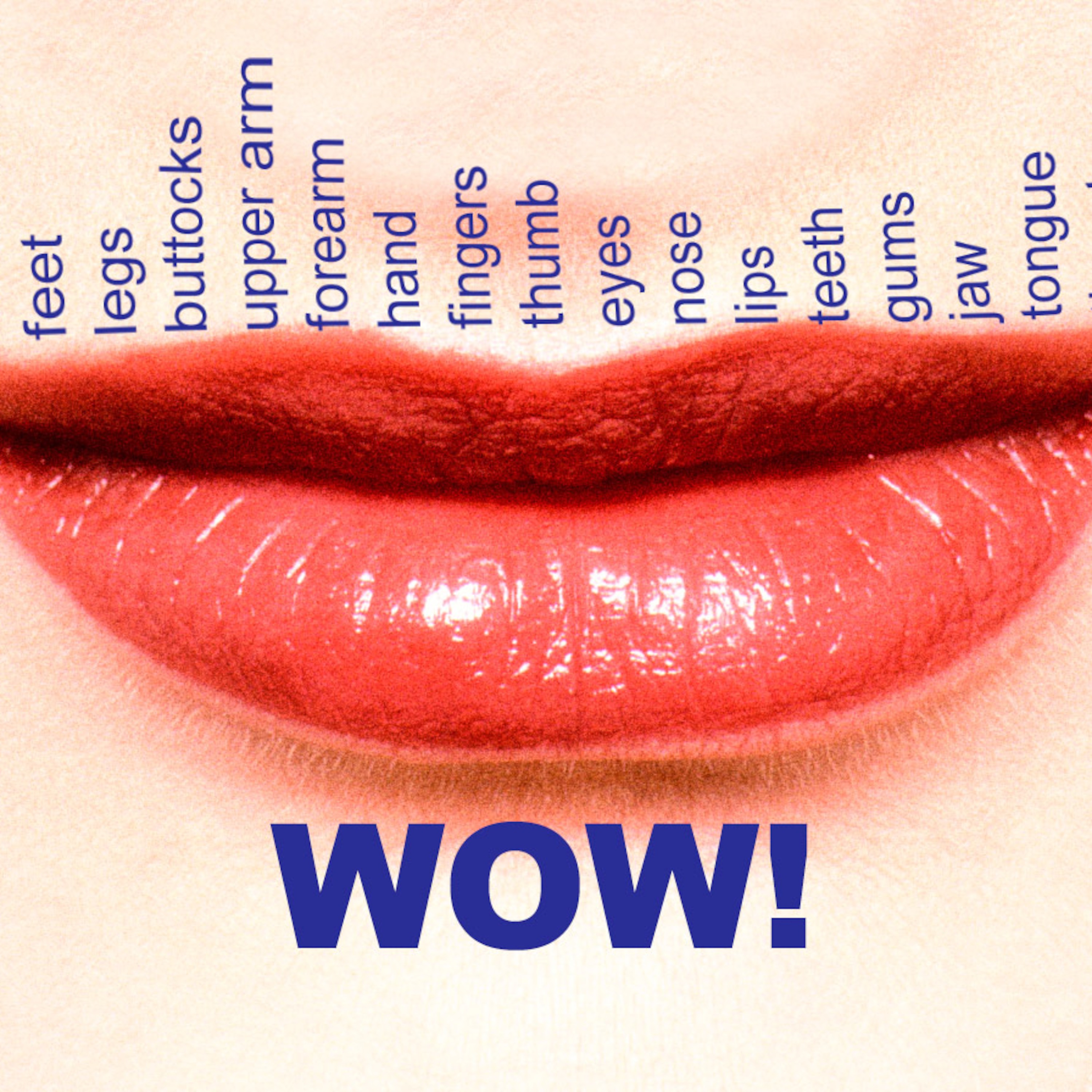What Does His Kiss Tell You? (A Lot More Than You Both Ever Knew)