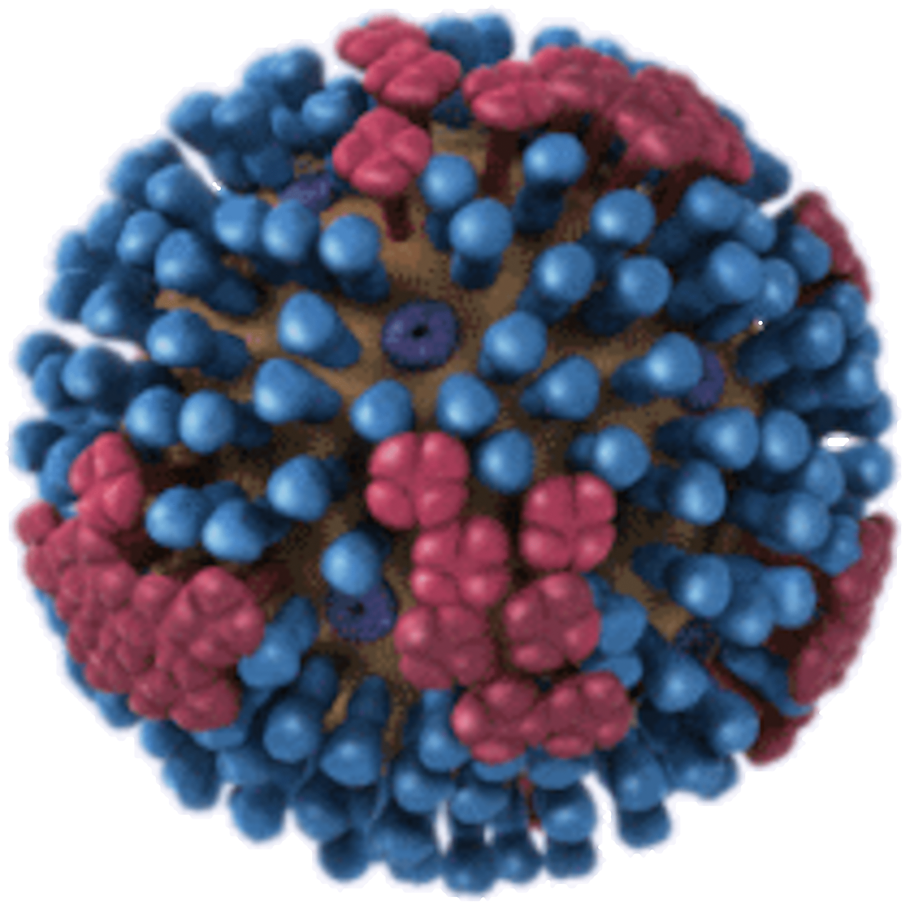 187 - Vacina da gripe – O que é e quem deve ser vacinado?