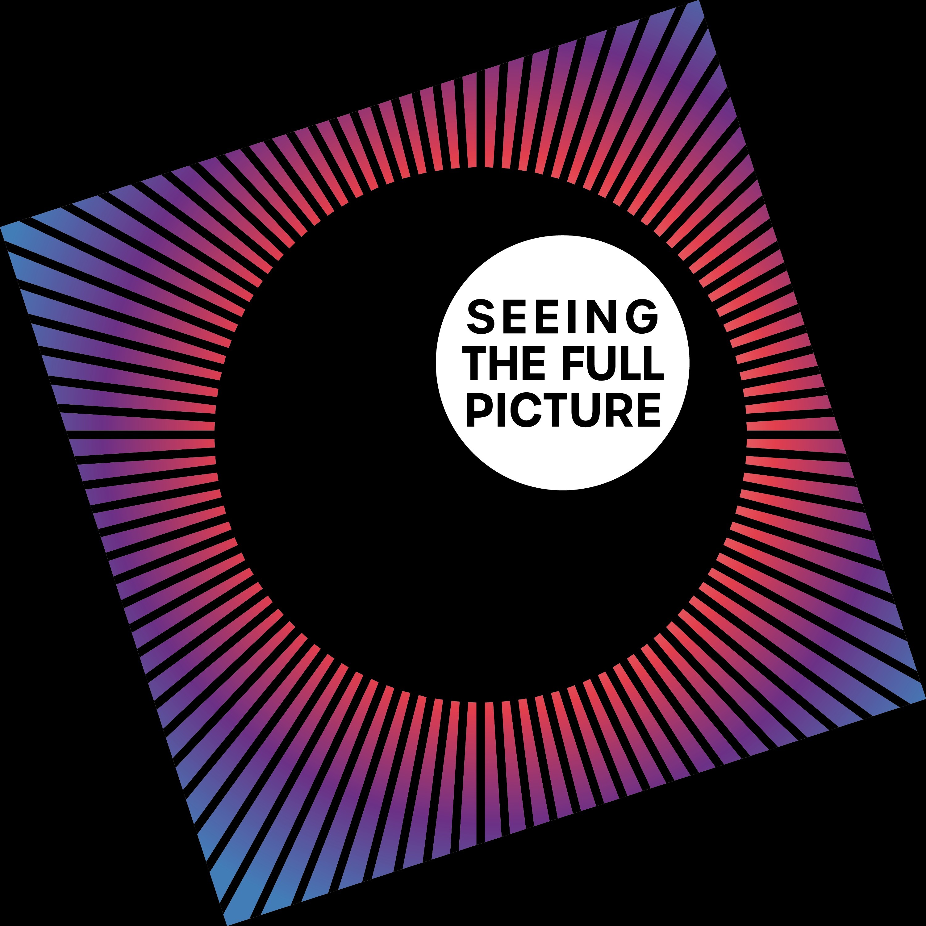 Seeing the full picture cover