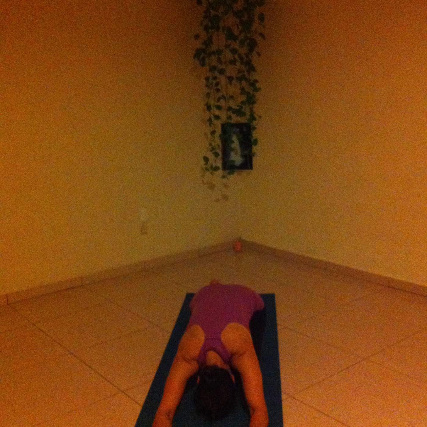 Vinyasa Express