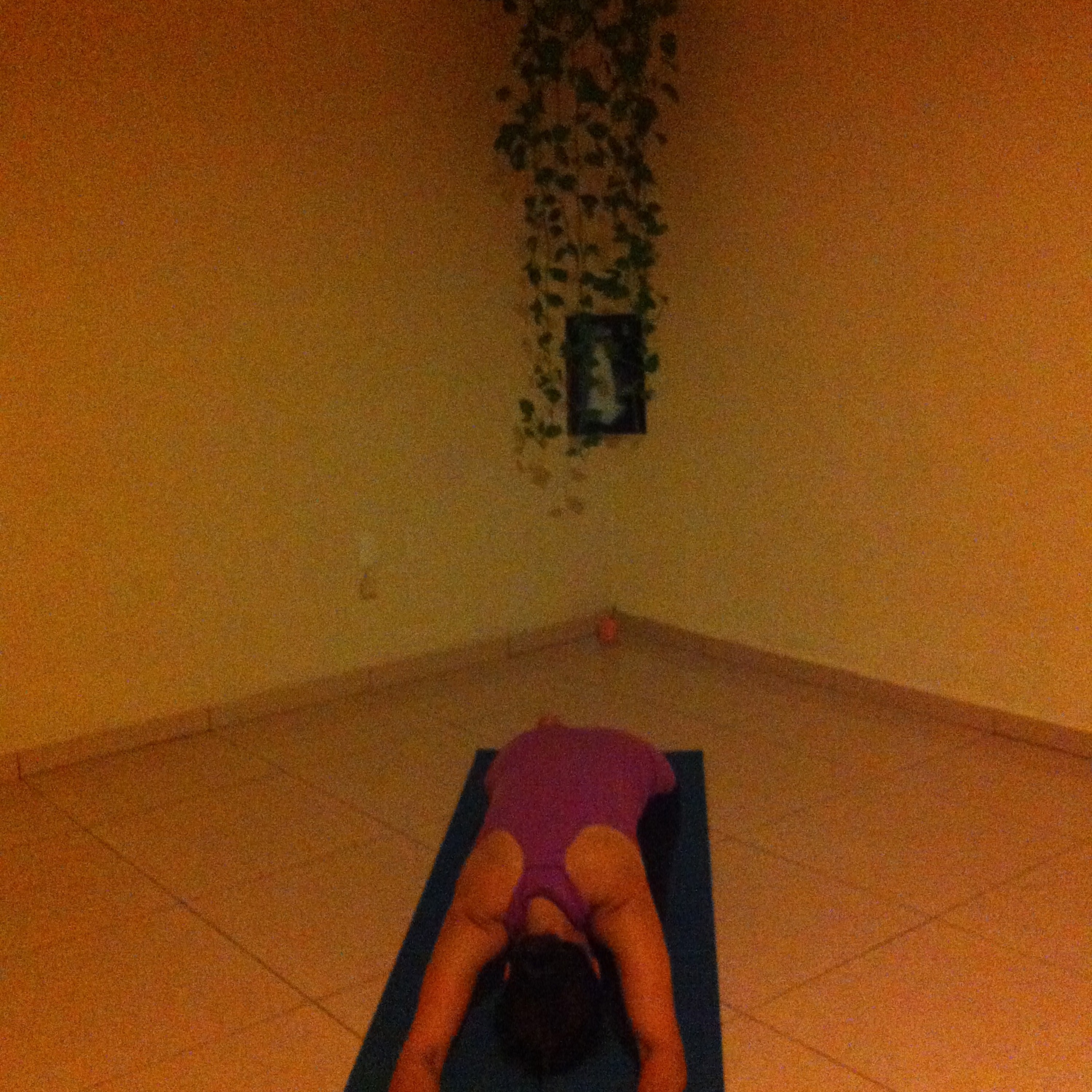 Vinyasa Express