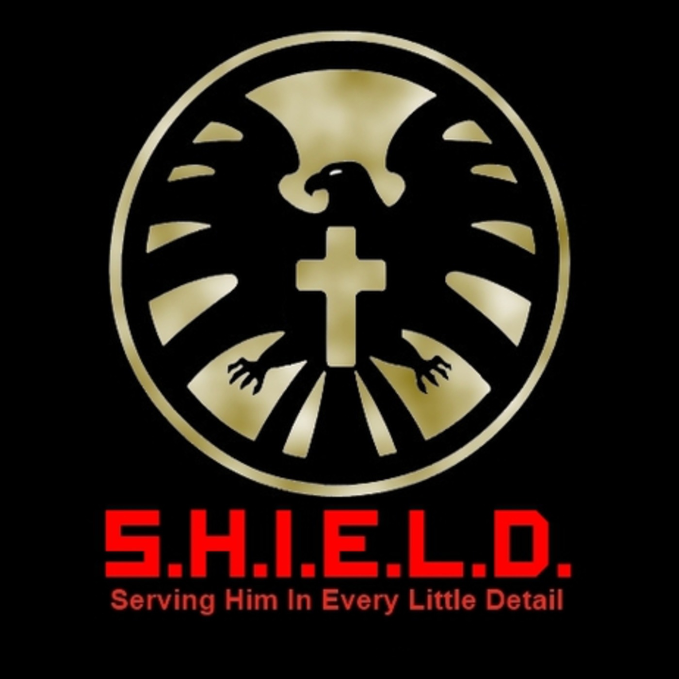 Jay Singleton's SHIELD Service Podcast