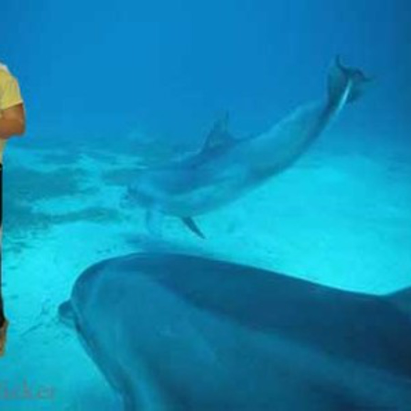 What's Happening in the new year