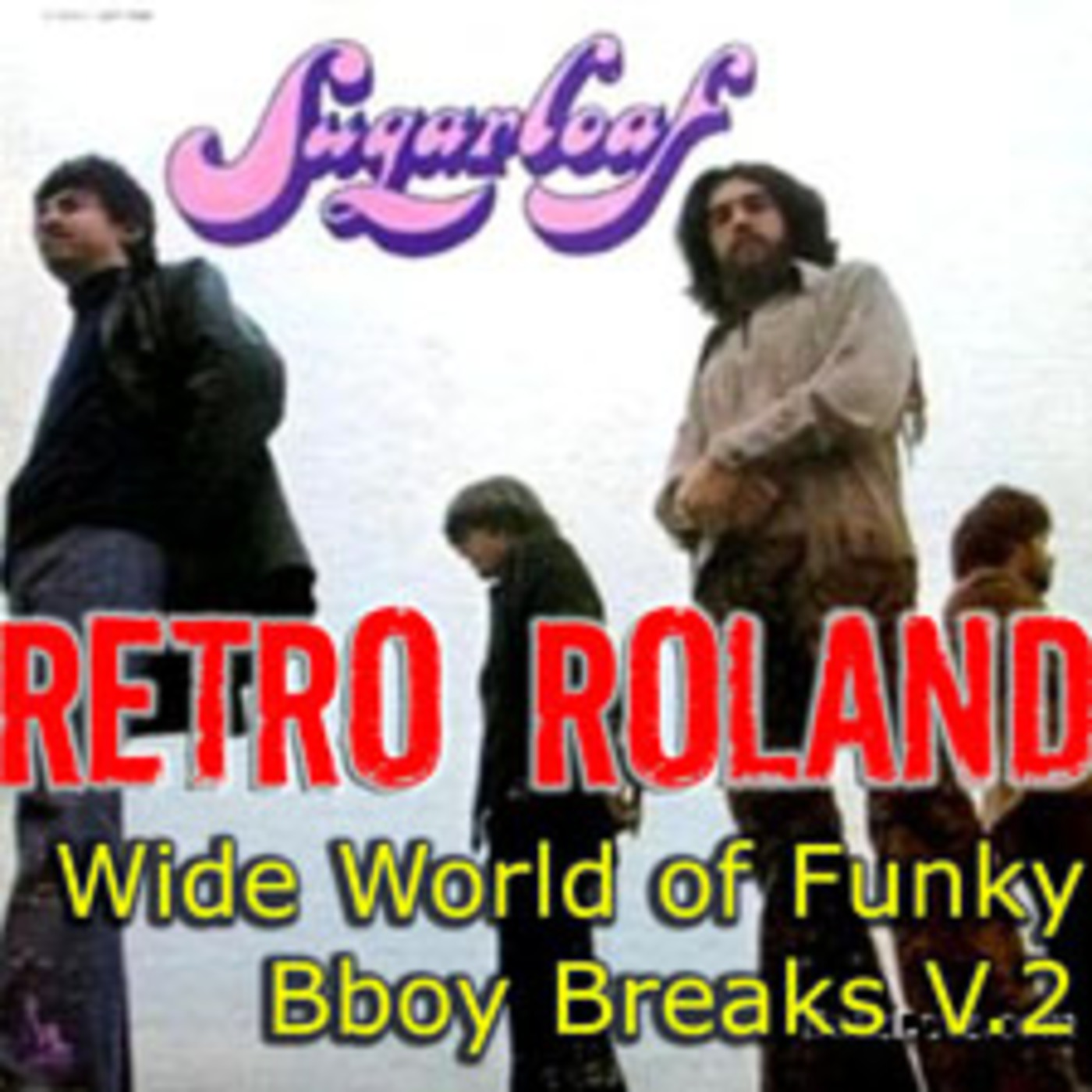 RETRO ROLAND - WIDE-WORLD OF FUNKY BBOY BREAKS V.2 - DEC, 2011