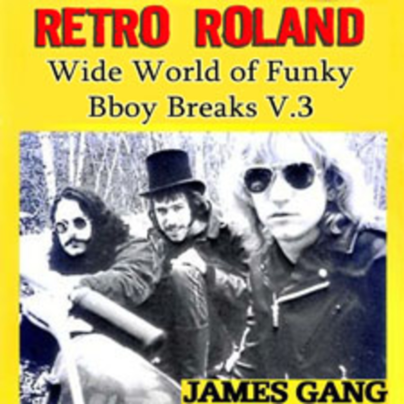 RETRO ROLAND - WIDE-WORLD OF FUNKY BBOY BREAKS V.3 - JAN, 2012 episode artwork