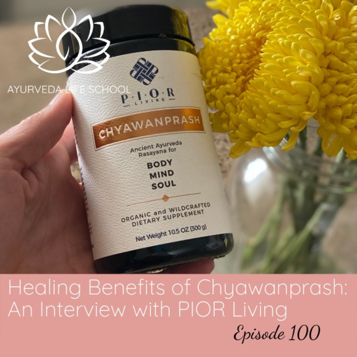 Ayurveda Life School Podcast