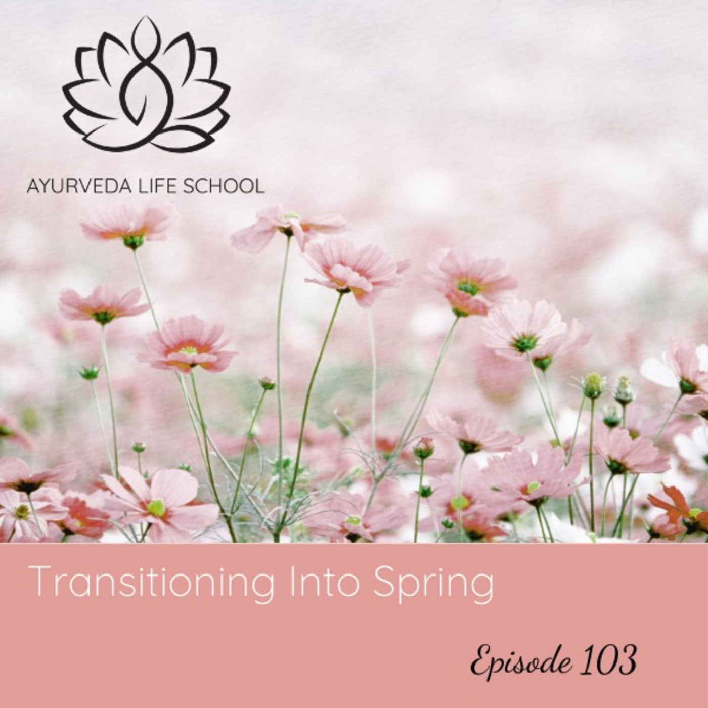 Ep #103: Transitioning into Spring