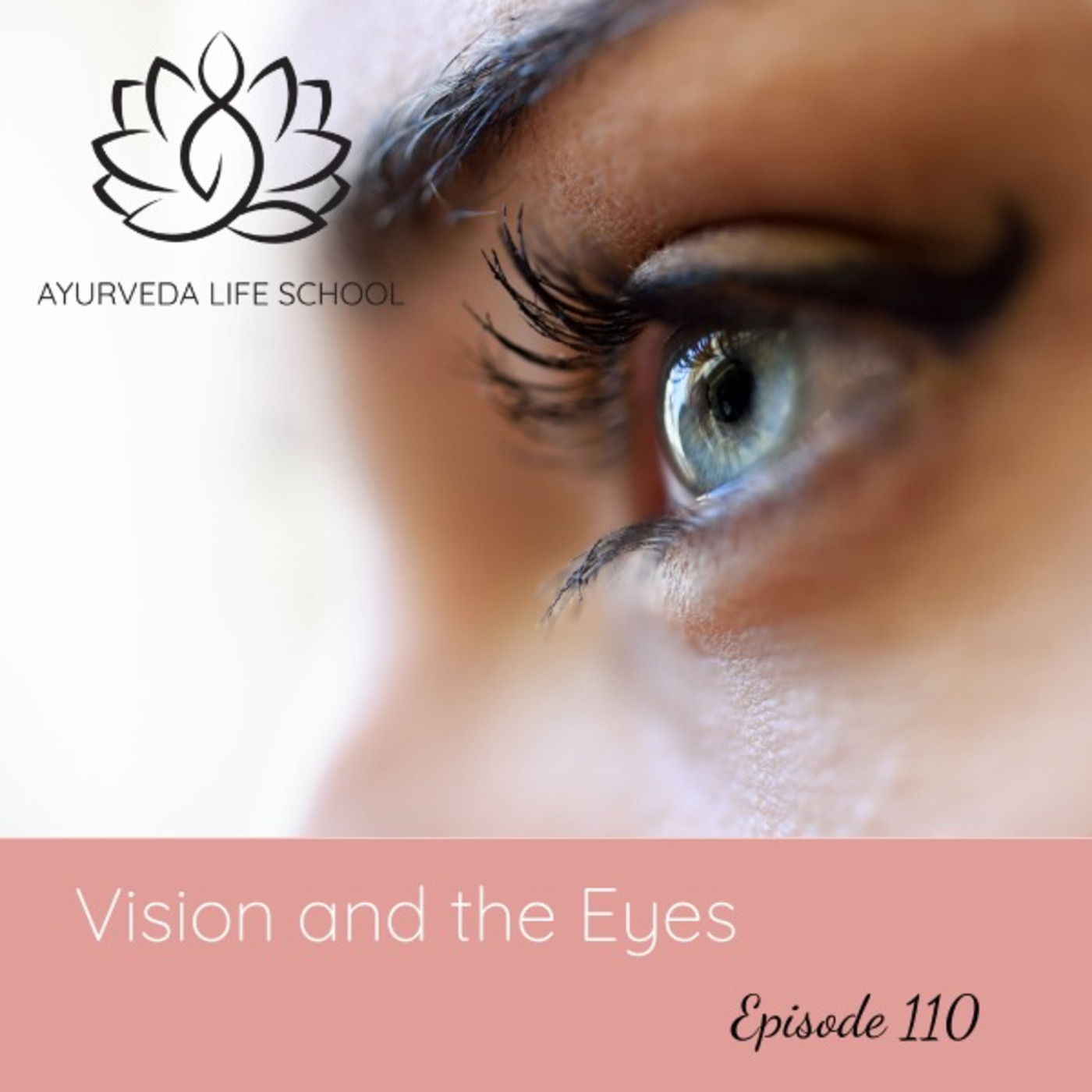 Ep #110: Vision and Eyes