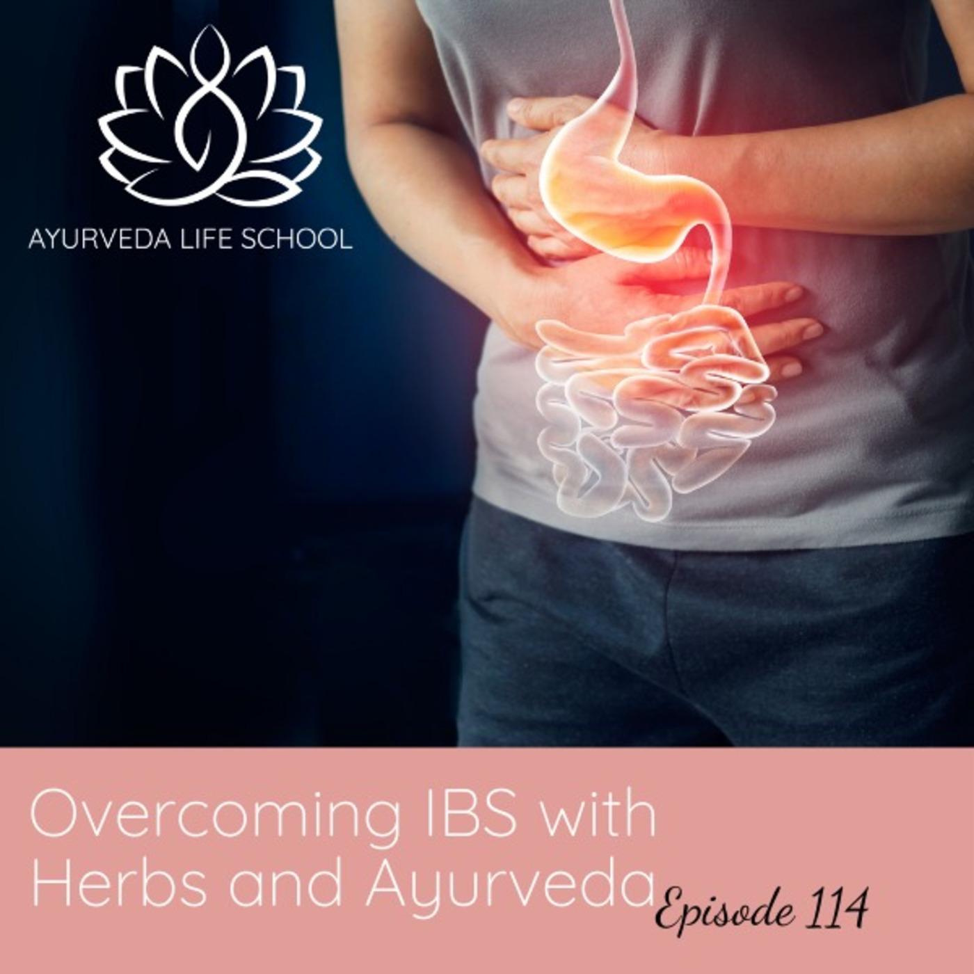 Ep #114: Overcoming IBS with Herbs and Ayurveda