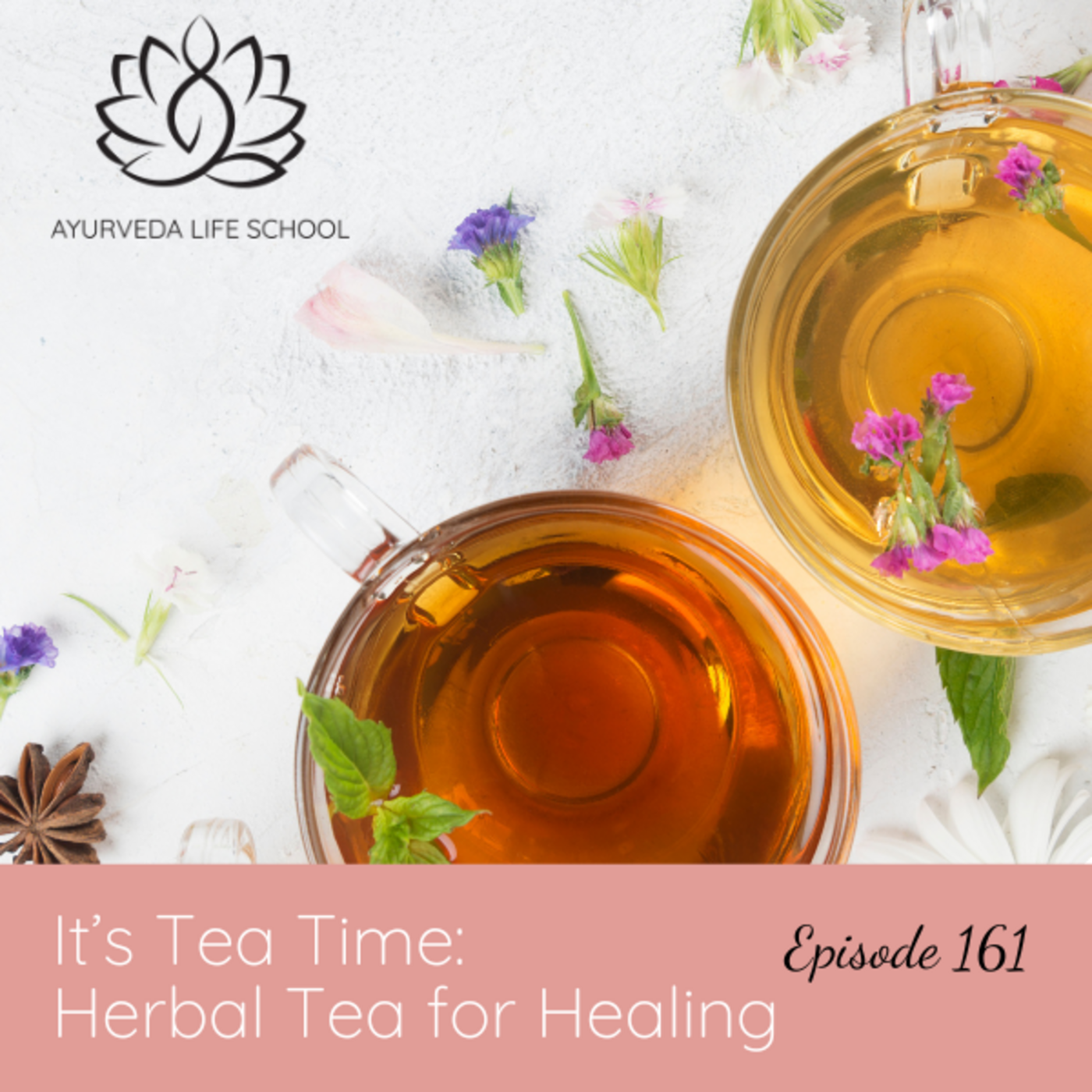 Ayurveda Life School Podcast
