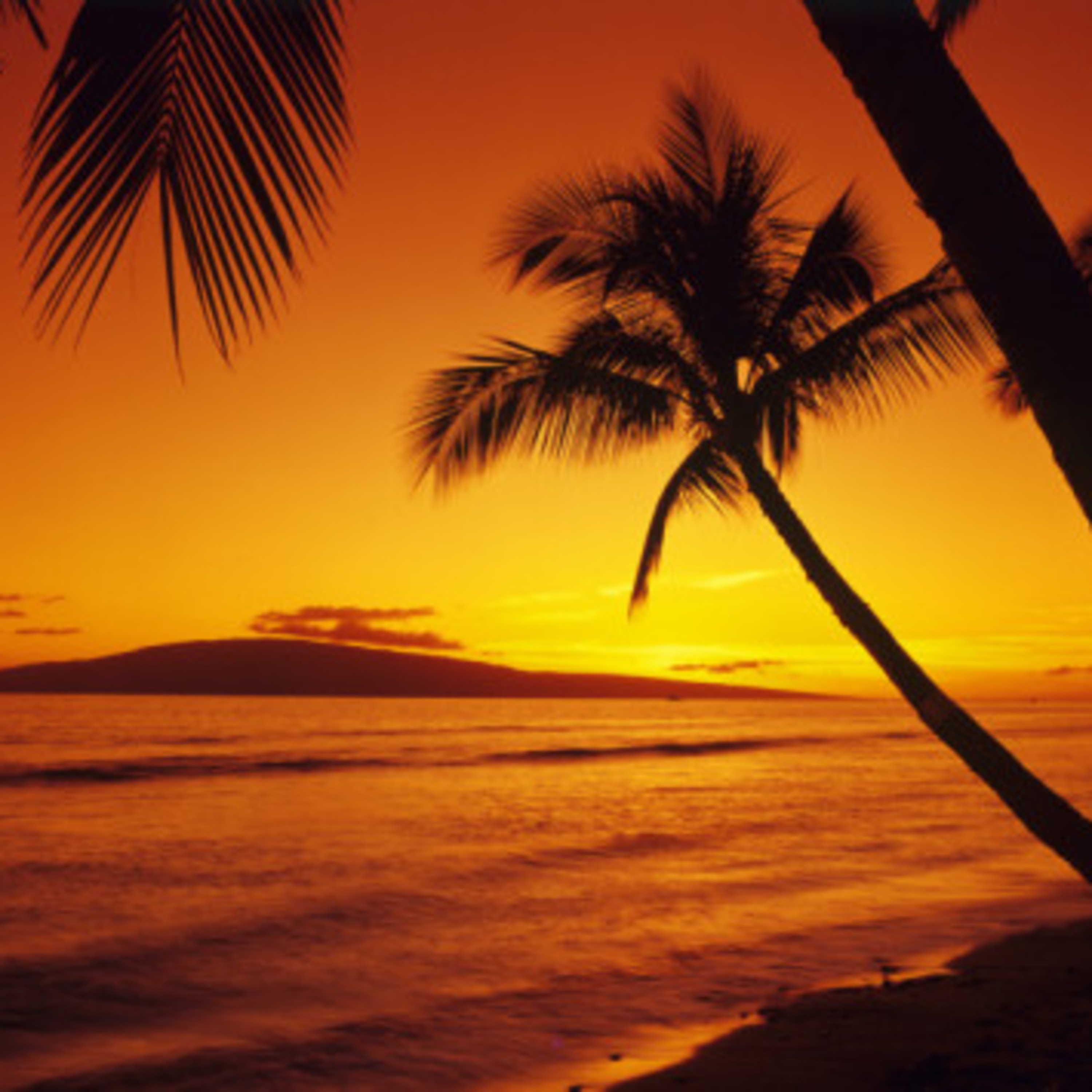 The Essential South Beach Mixes - DJ Mark Brickman