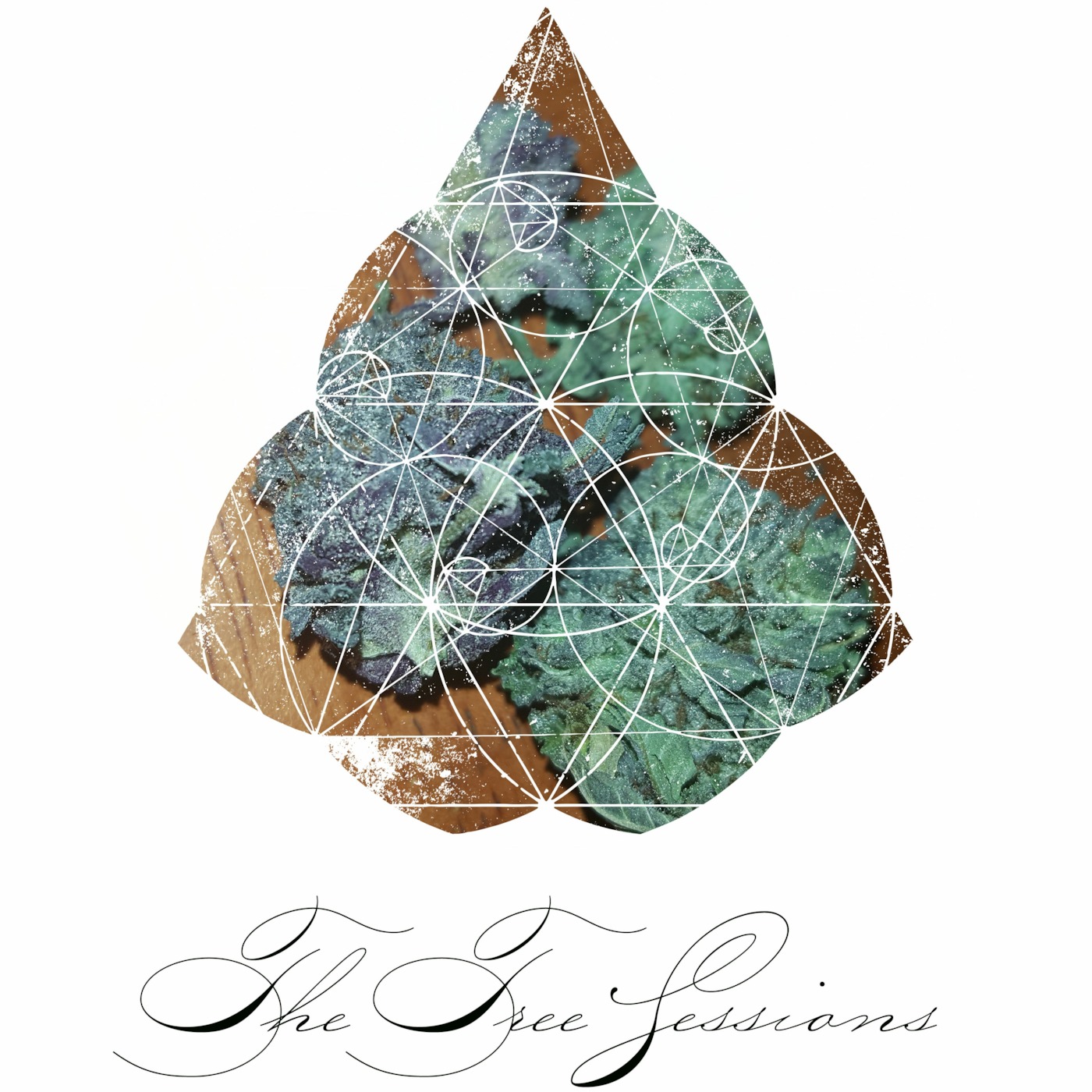 The Tree Sessions