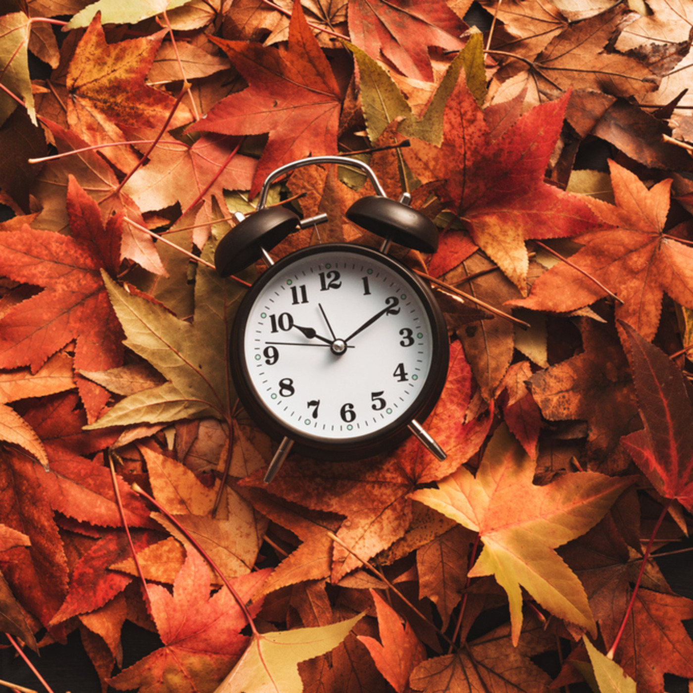 Episode 166: Time