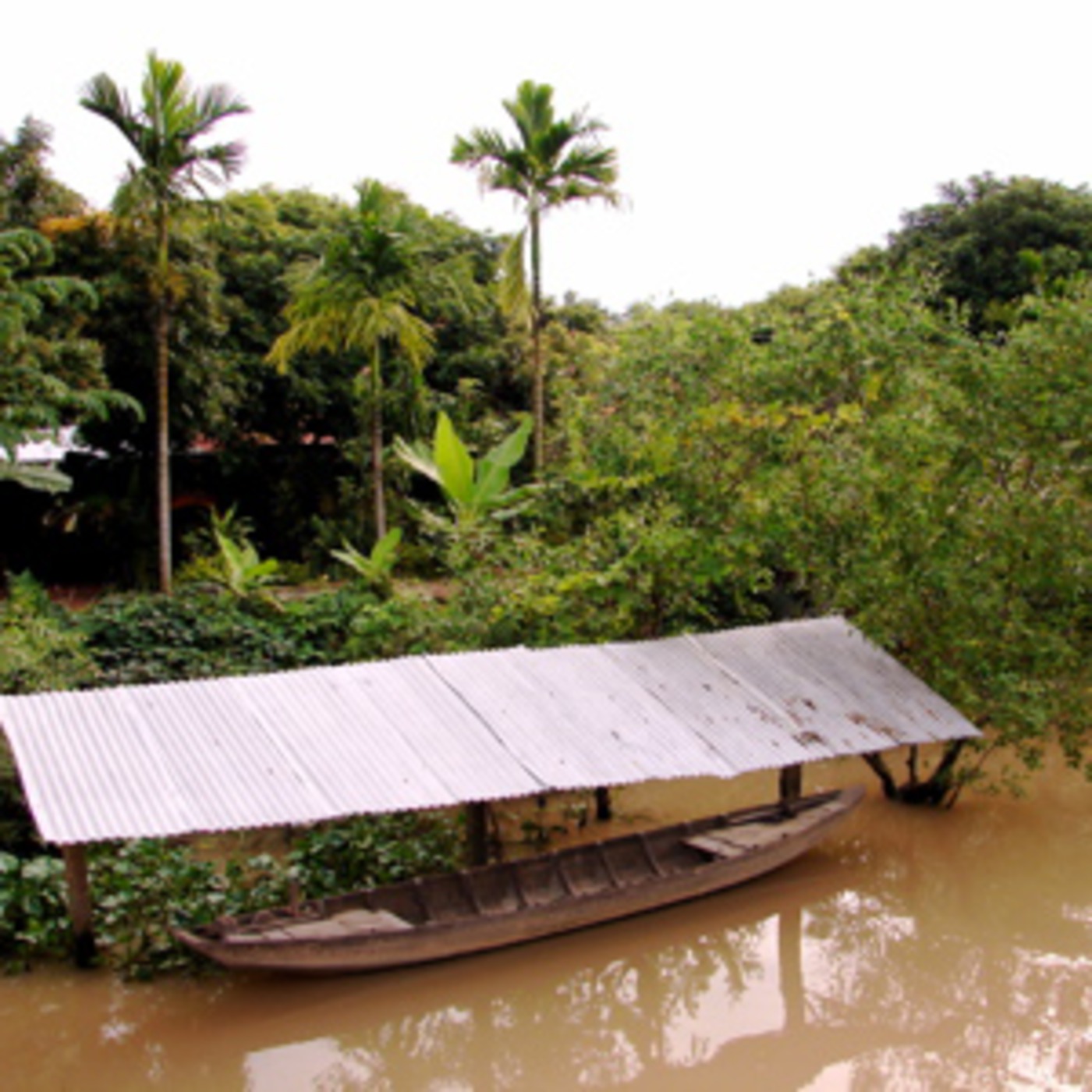 Mekong Delta Blues
