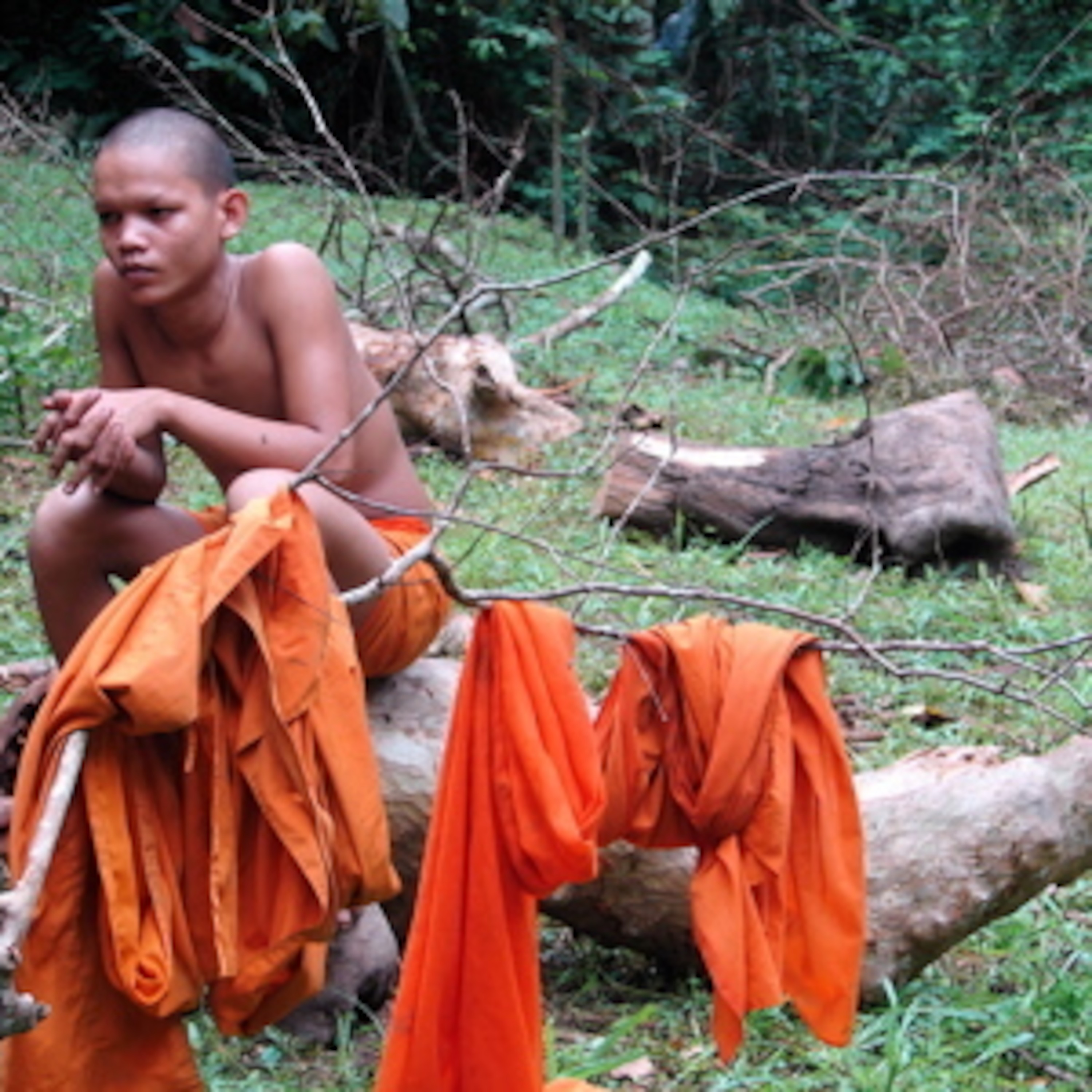 Boys collecting wood, Angkor forest