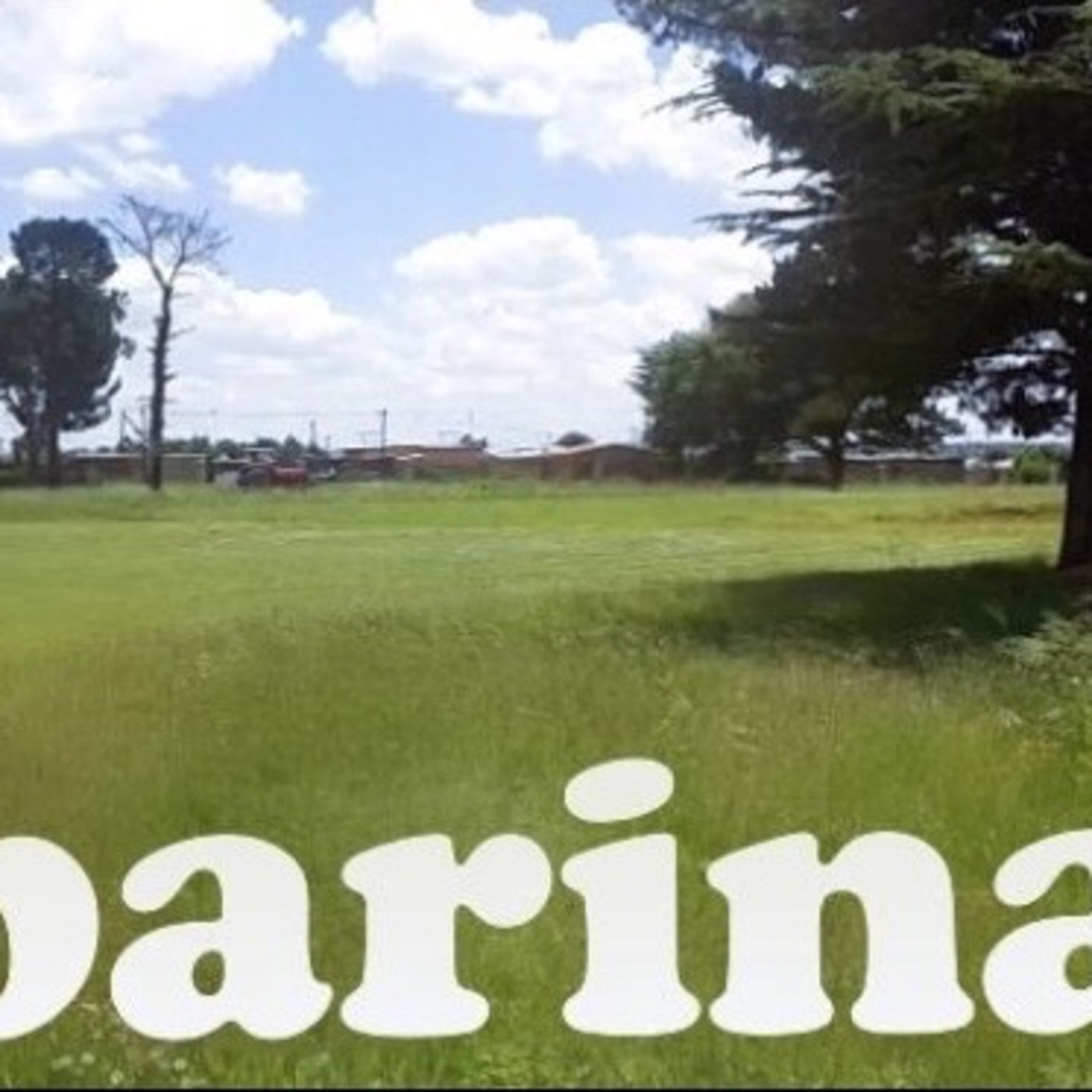 Episode 3: Sambarina episode artwork