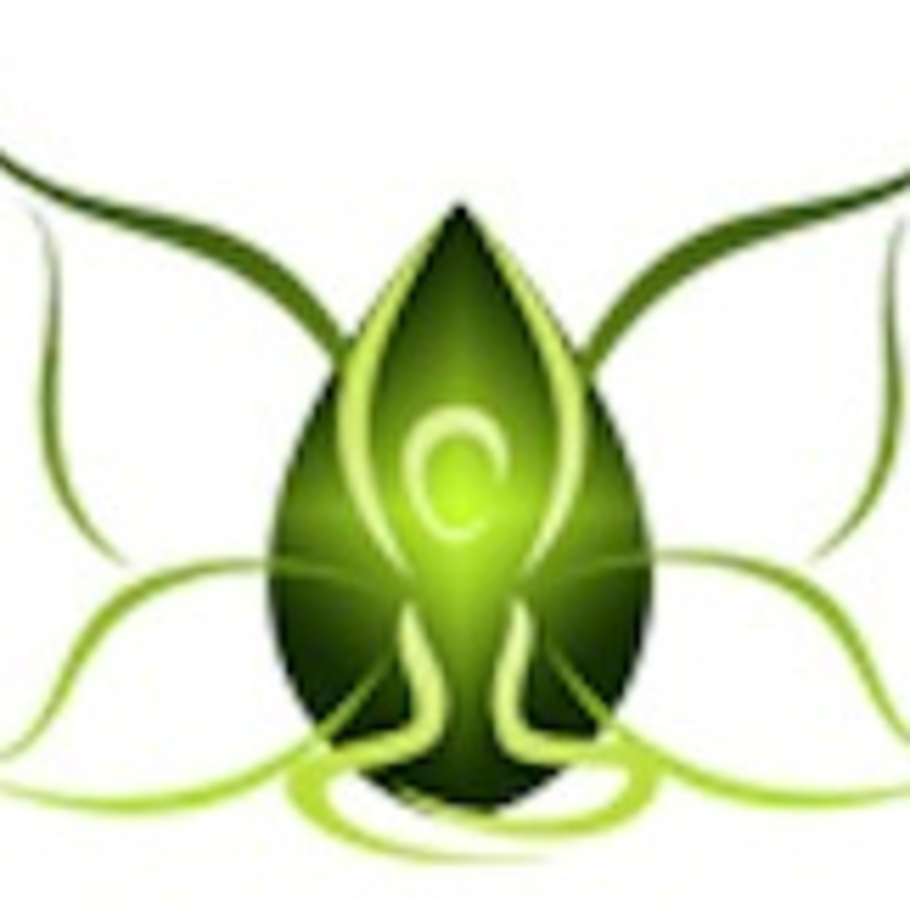 Healthy Living with Yoga Anita