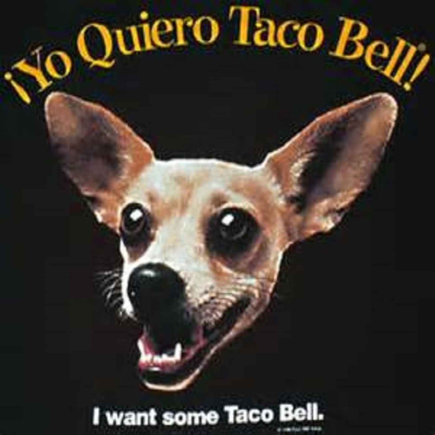 Episode 5 - The Taco Bell Chihuahua