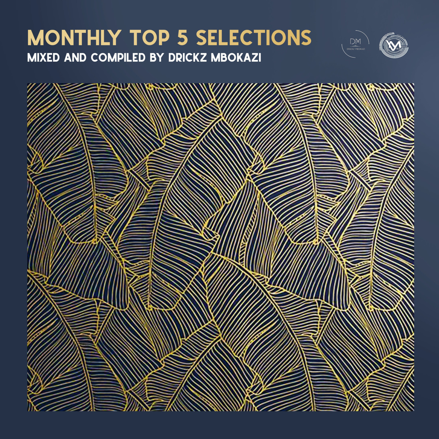 Episode 49: Monthly Top 5 Selections Ep4 Mixed By Drickz Mbokazi episode artwork