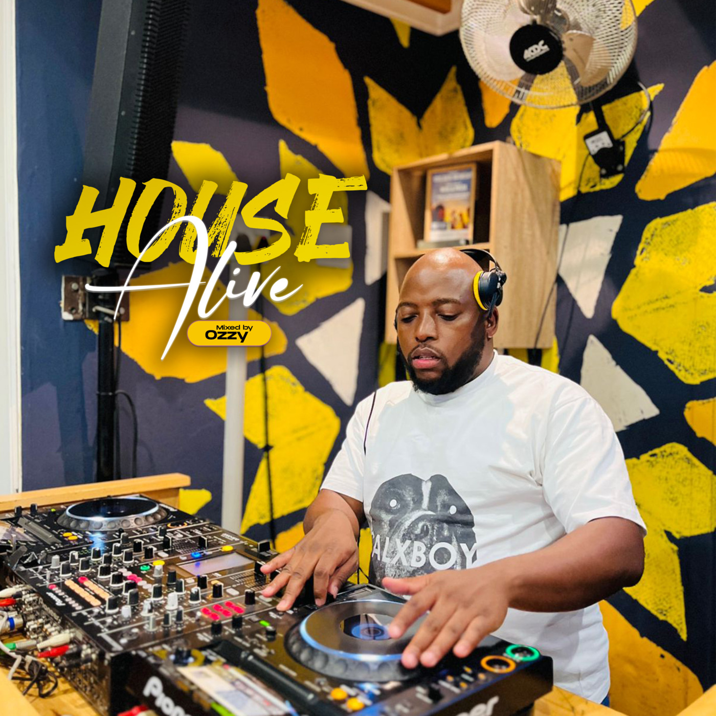Vibe Music Show
