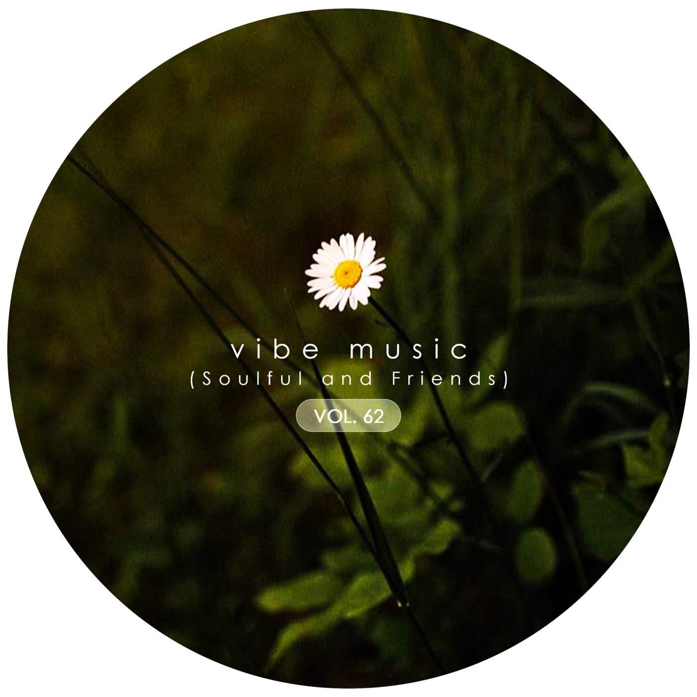 Episode 92: Vibe Music Vol. 62 (Soulful And Friends) mixed by Lerato BeGood