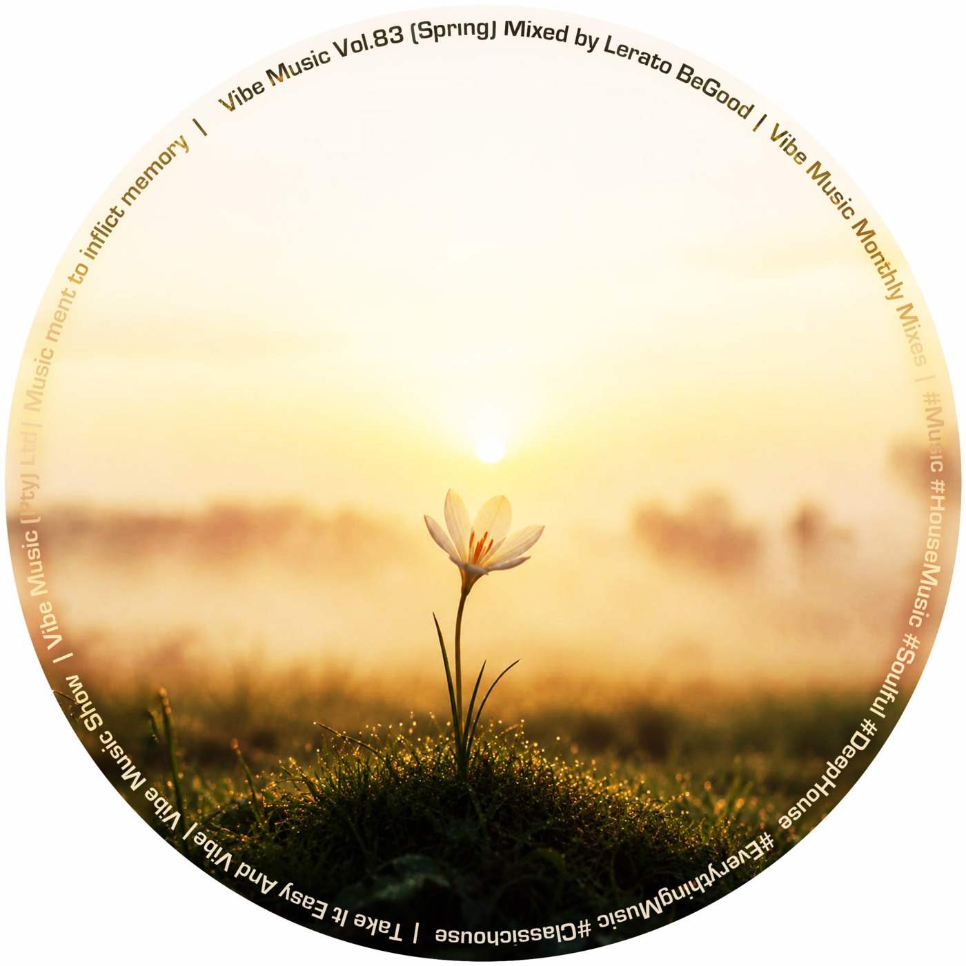 Episode 141: Vibe Music Vol. 83 (Spring) Mixed by Lerato BeGood episode artwork