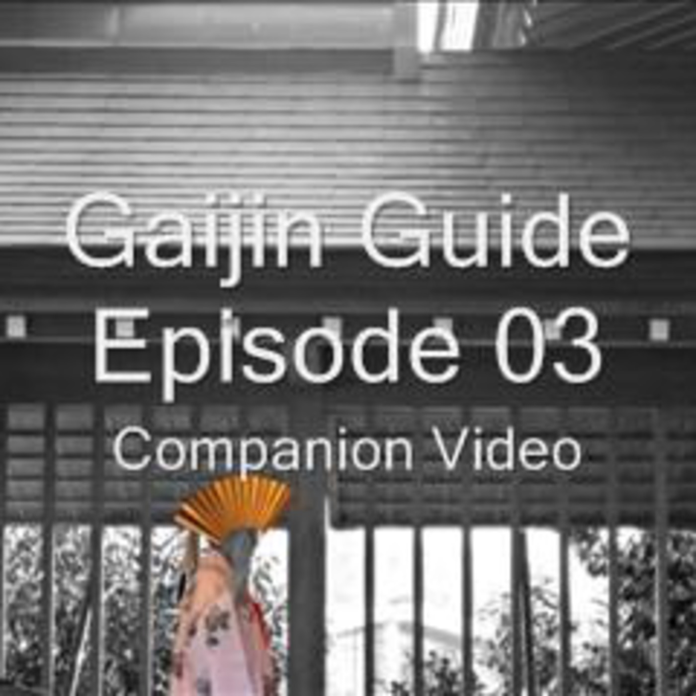 Episode 03 Companion Video episode artwork