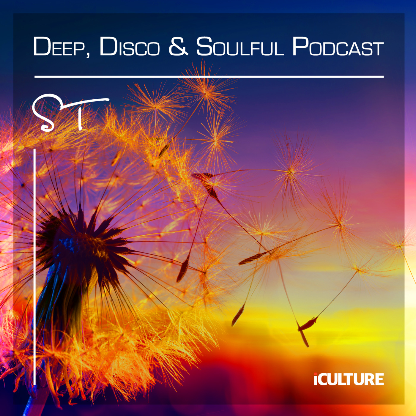Deep, Disco & Soulful House by Steve Taylor