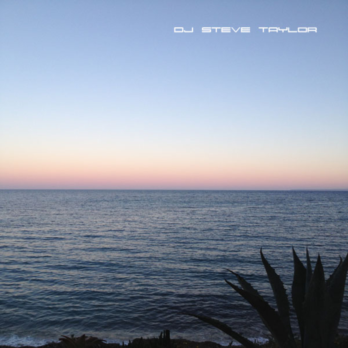 Deep, Disco & Soulful House by Steve Taylor