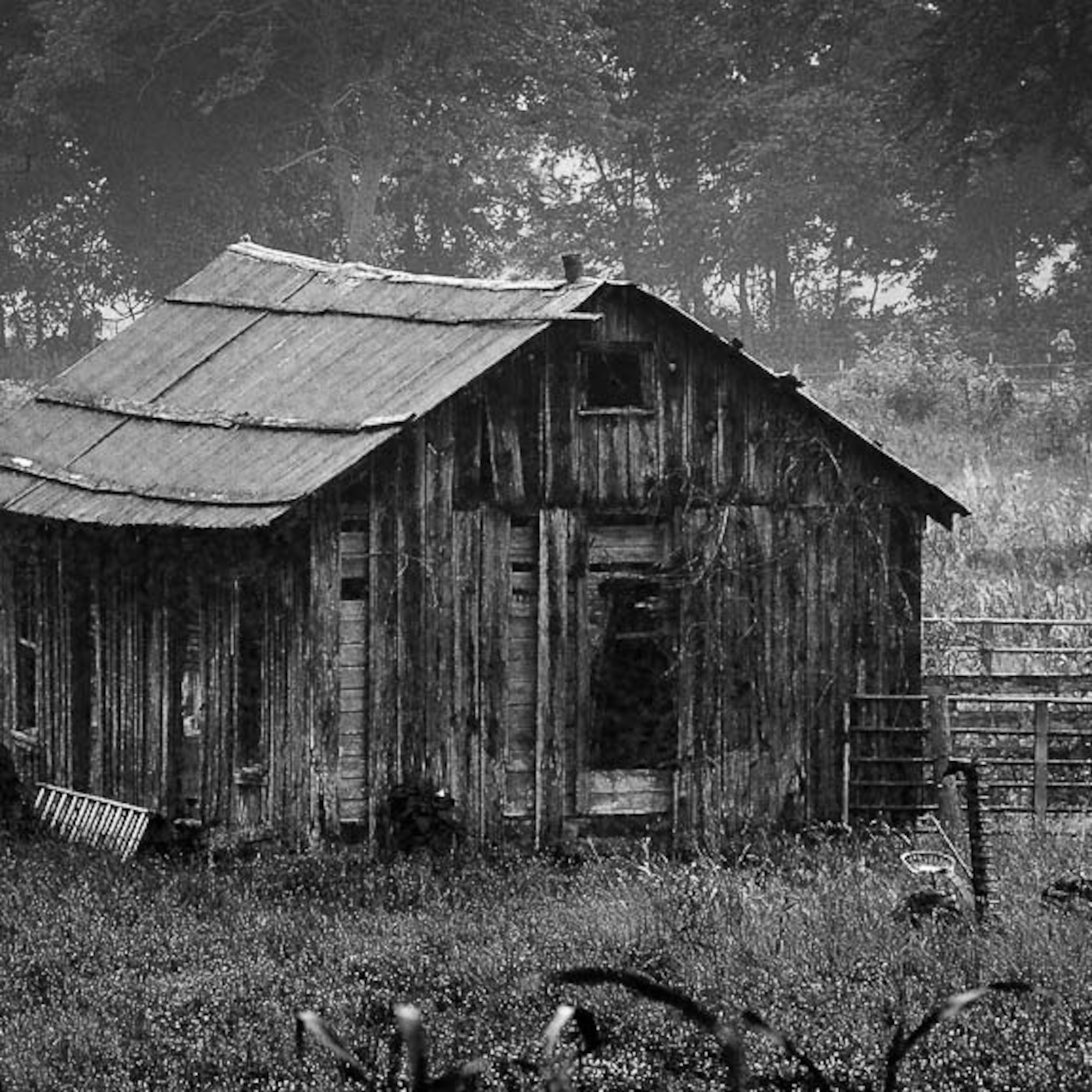 Shed Talk 3: Origins